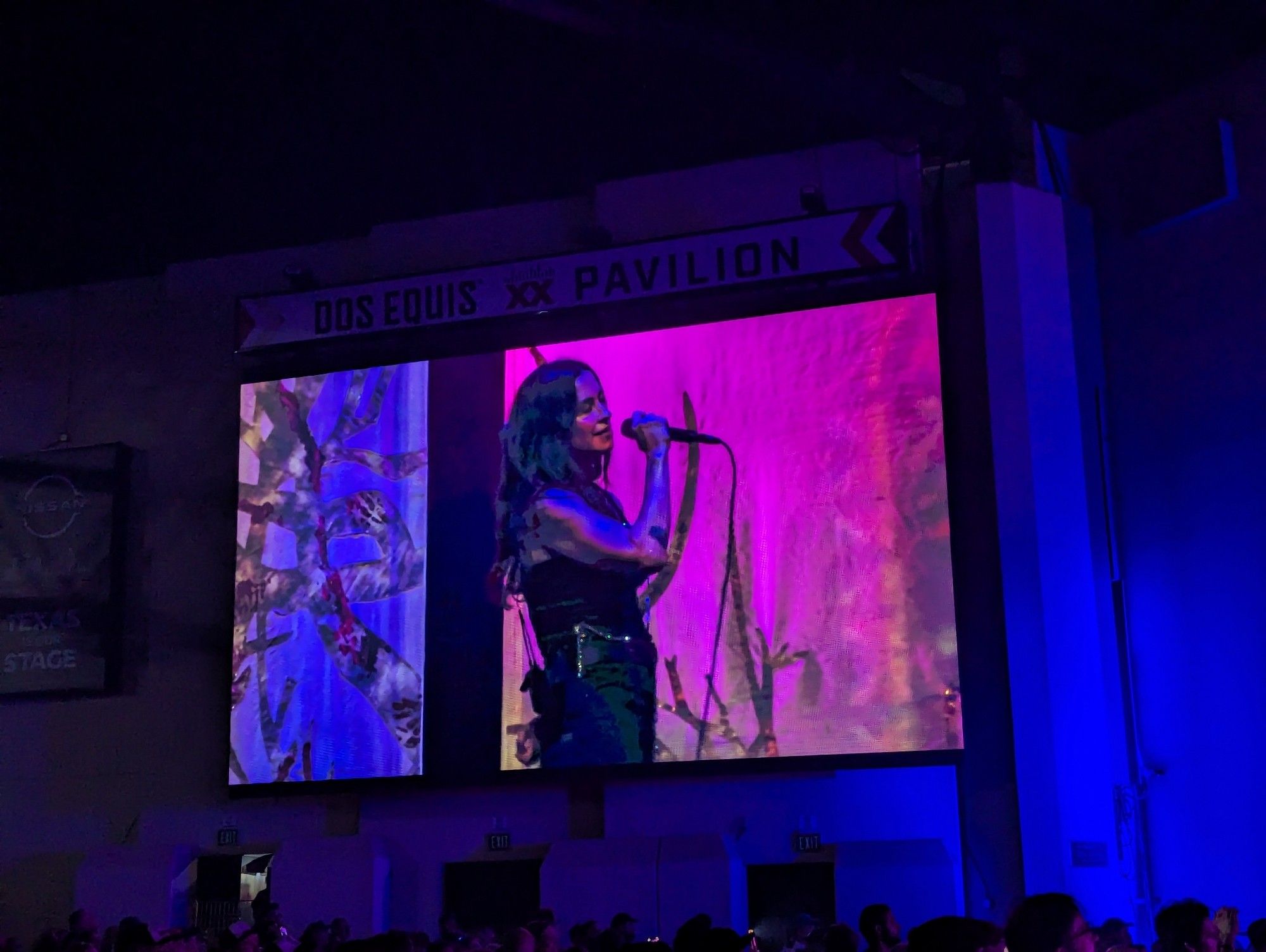 Alanis on the video screen