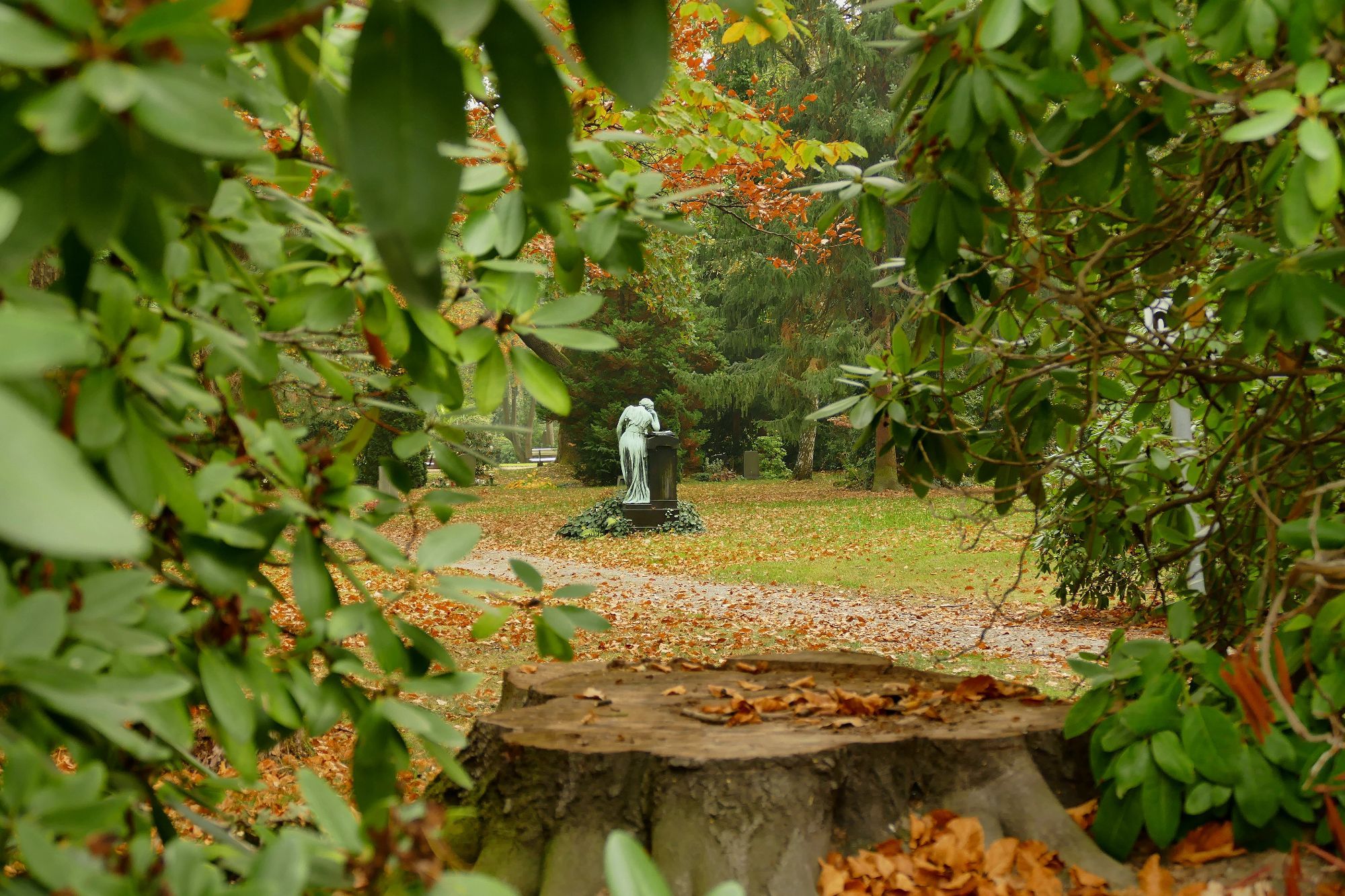 herbstliche Umgebung
welkes Laub liegt auf dem Boden
der Betrachter sieht durch zwei Rhododendren hindurch, ein Baumstumpf dazwischen
man blickt auf eine einzelne Skulptur, mit dem Rücken zum Betrachter
sie steht allein auf einer Wiese