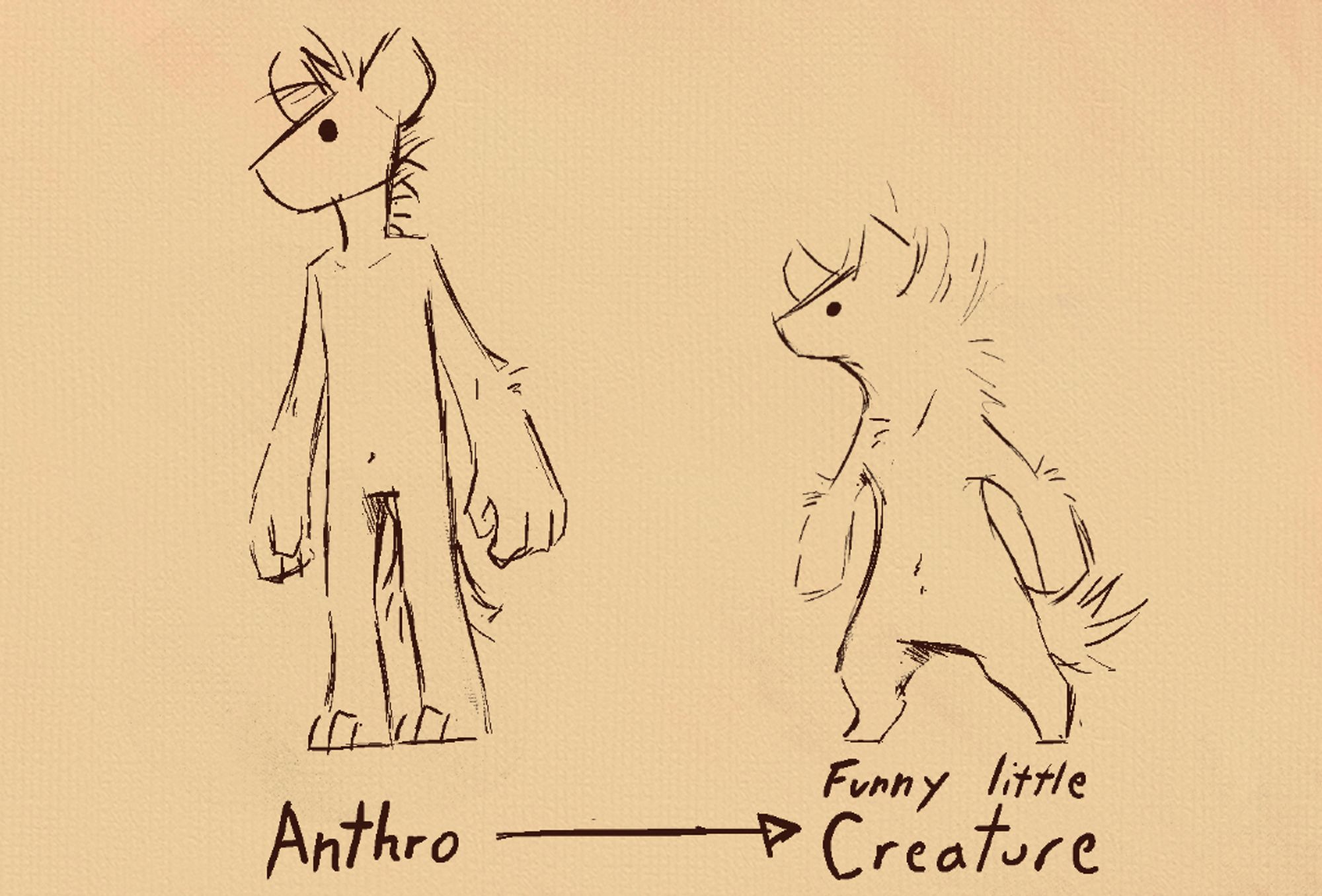 Anthromorphic styled hyena next to a shorter more gremlin shaped anthro hyena

Below them is the text Anthro and Funny Little Creature, with a arrow in between pointing towards the funny little creature.

It's based on 'pipeline theory' memes, for example bionical fans becoming trans girls later in life.