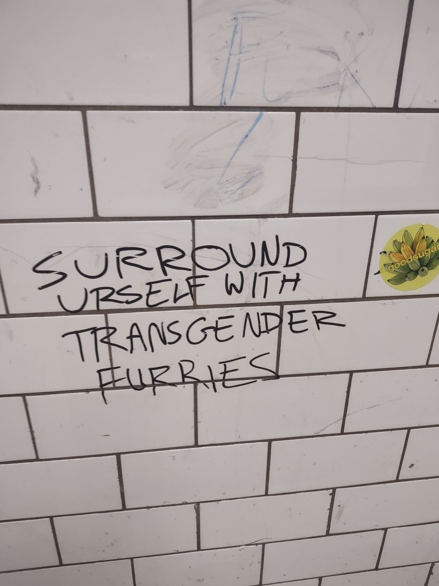 graffiti on a white brick wall that says "surround yourself with transgender furries"