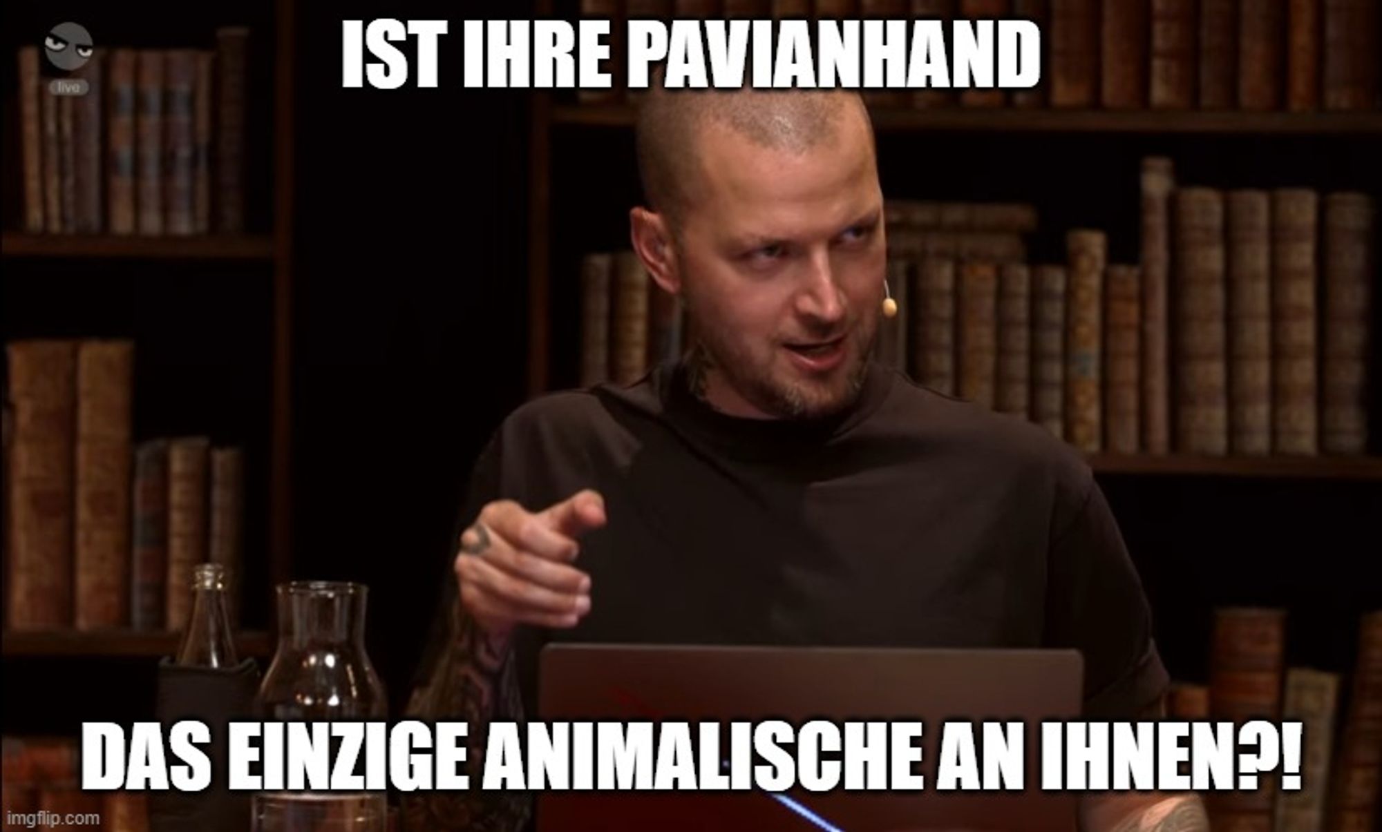 Schreenshot aus dem aktuellen Marriton Manor Stories Pen&Paper: Hauke schaut lasziv in Richtung Rechte Ecke, seine rechte Hand auf der linken Seite mit eindeutiger Griff-Geste. Darüber und darunter im Meme-Stil der Text "Ist ihre Pavianhand das einzige animalische an Ihnen?!"