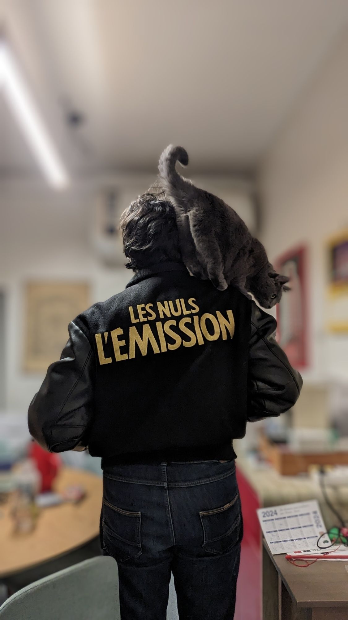 Moi posant fièrement dans ma cuisine floue et en bordel avec mon blouson Les Nuls l'Emission fraîchement acquis. Ma petite chatte grise est grimpée sur mon épaule droite.