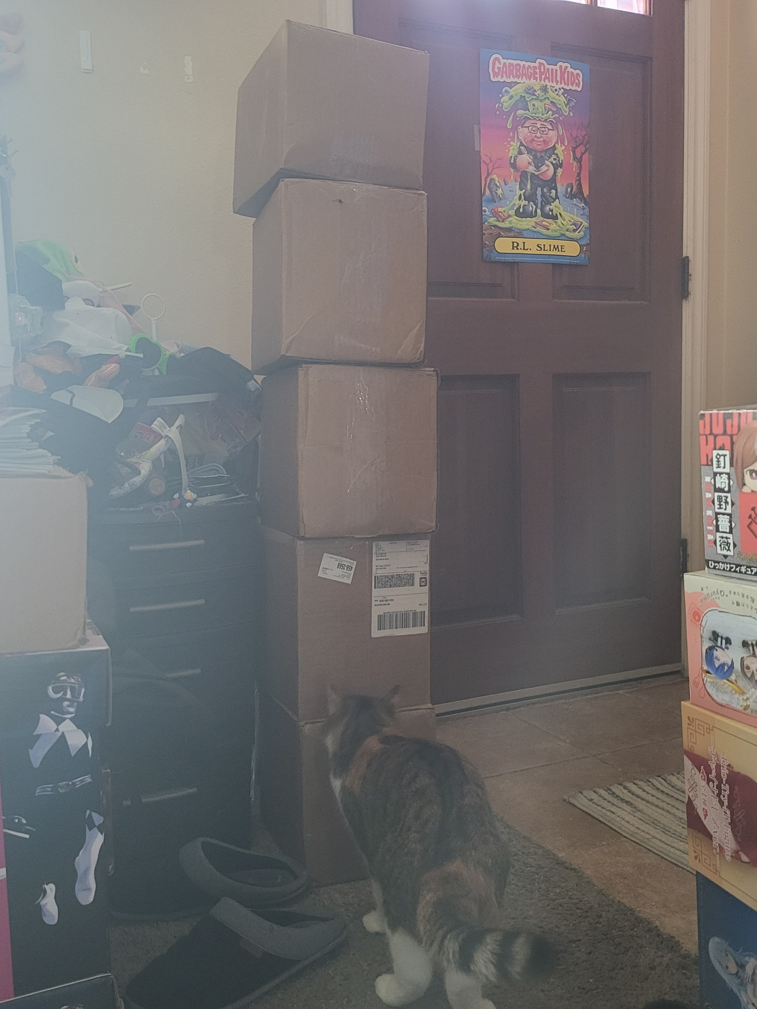 5 big boxes full of copies, next to my cat Nadja for scale. 