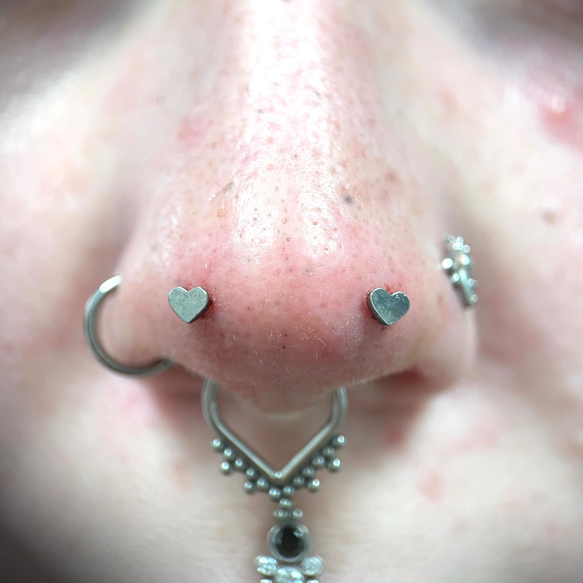 Photo de piercings mantis : Il s’agit de deux piercings posés à droite et à gauche sur le bout du nez. Ici, ils ont été percés avec des bijoux en titane gris en forme de coeur