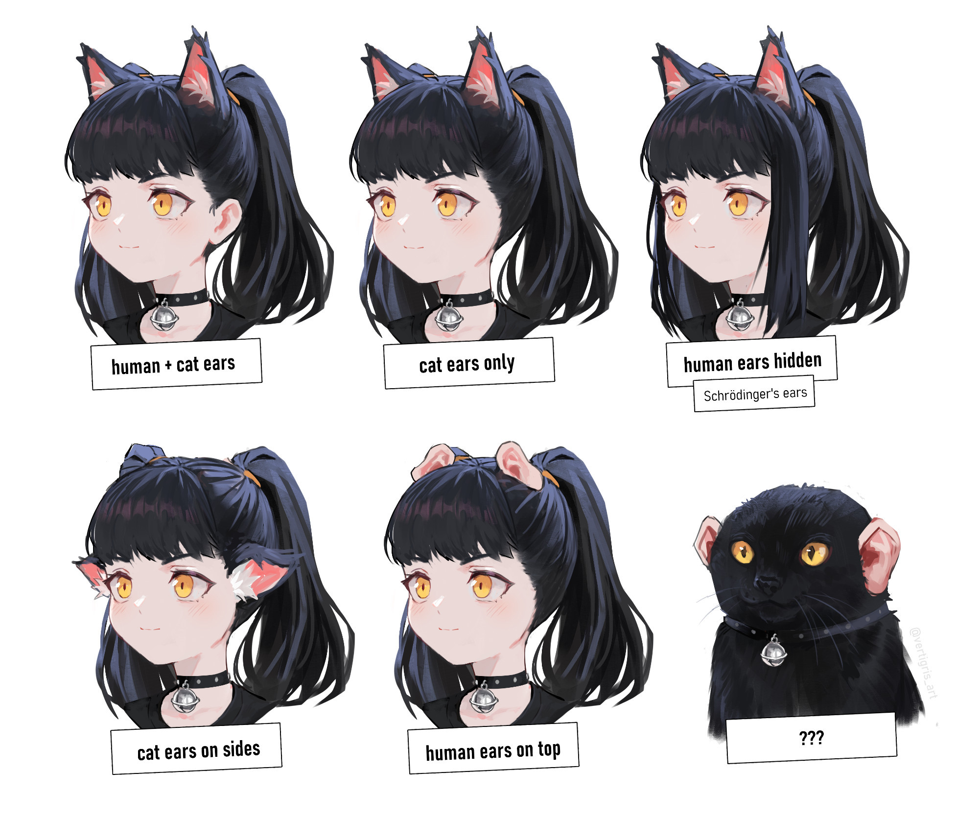 Diagram of 6 different cat girl head shots:
1. human + cat ears 
2. cat ears only 
3. human ears hidden (Schrödinger's ears)
4. cat ears on sides 
5. human ears on top 
6. ??? (a regular cat with human ears)