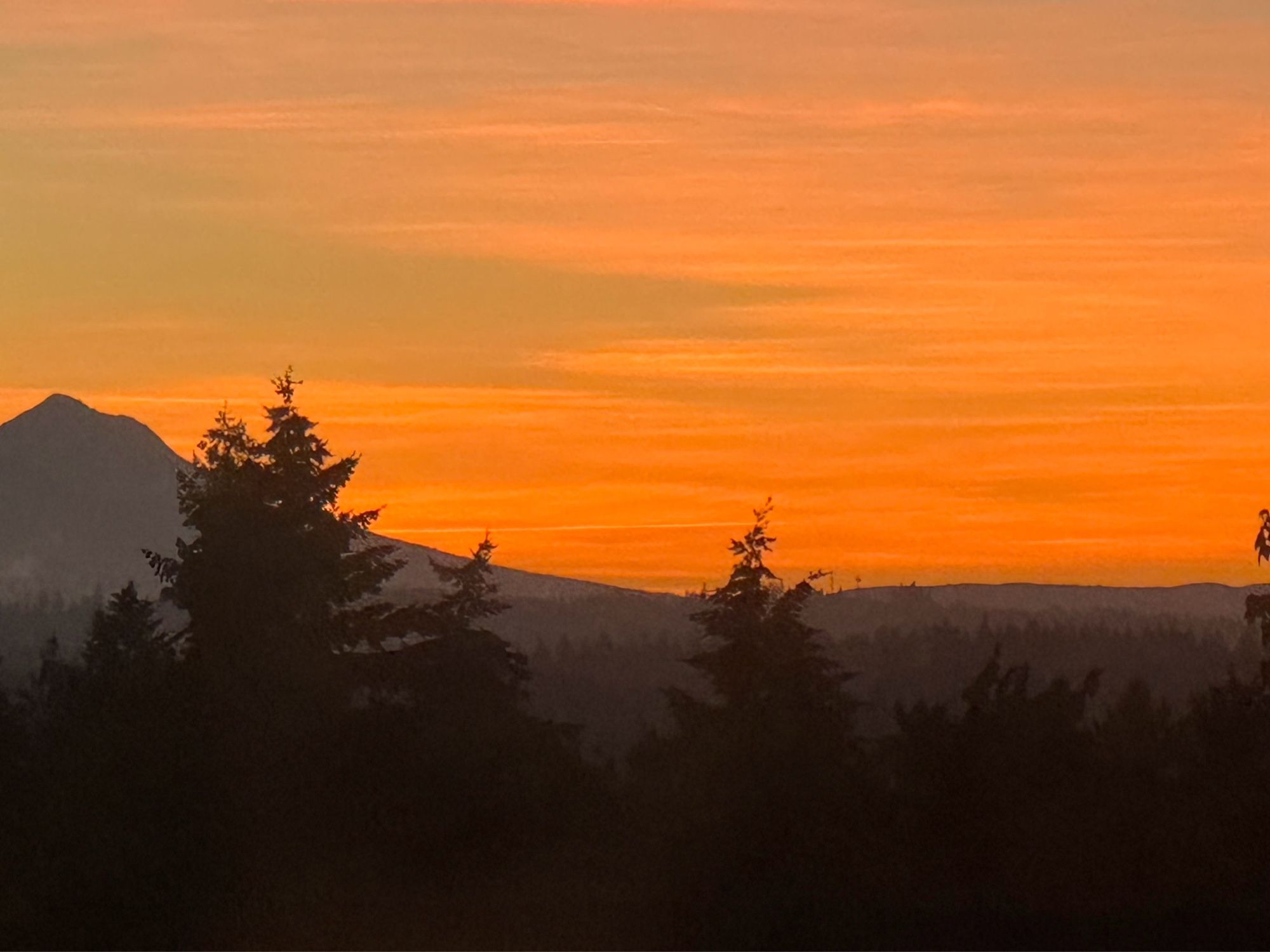 Orange sky at sunrise, silhouette of Mt. Hood in the distance on the right, pine trees in the foreground