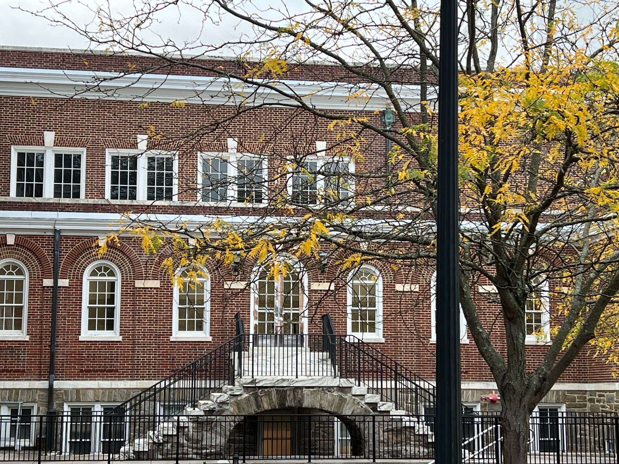 Yellow leaves on a tree outside a building at Rowan University