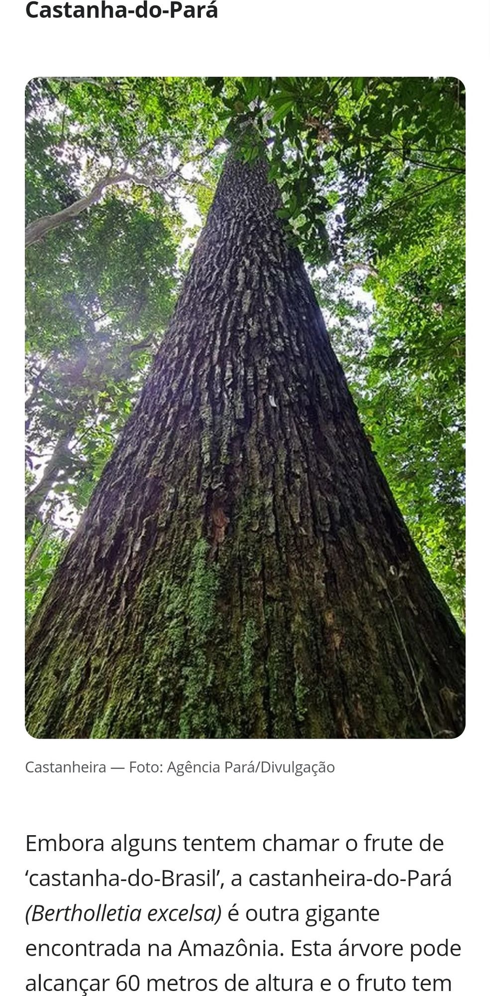 Eu lendo uma matéria do G1 sobre a floresta amazônica e encontro uma linguagem neutra no texto rsrs, brincadeiras a parte, suponho que seja apenas um erro de digitação, kkkk