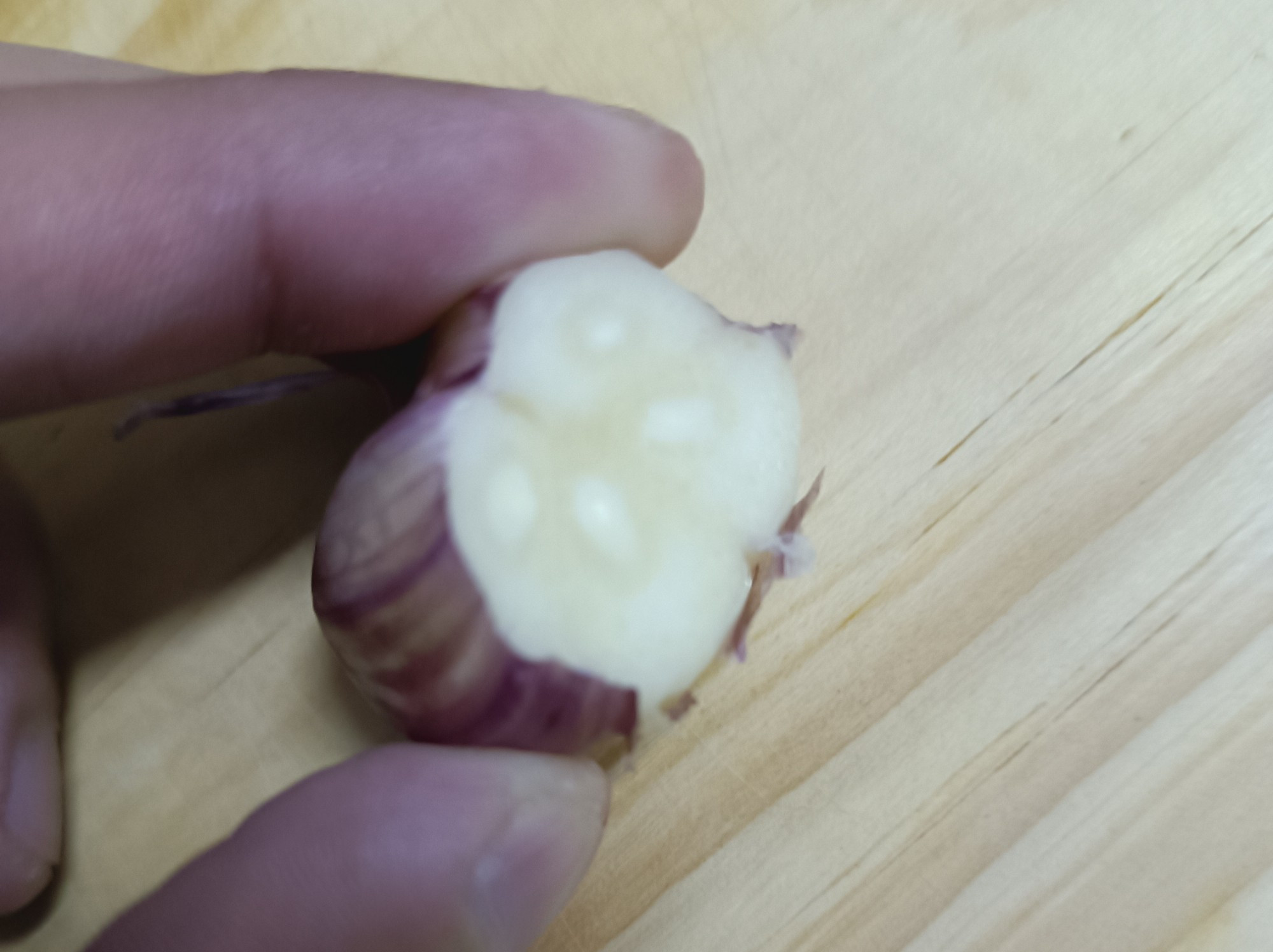 foto de quatro dentes de alho fundidos em um com uma única casca roxa ao redor deles, estou segurando o alho entre o indicador e o polegar e o fundo da foto é uma tábua de corte de madeira