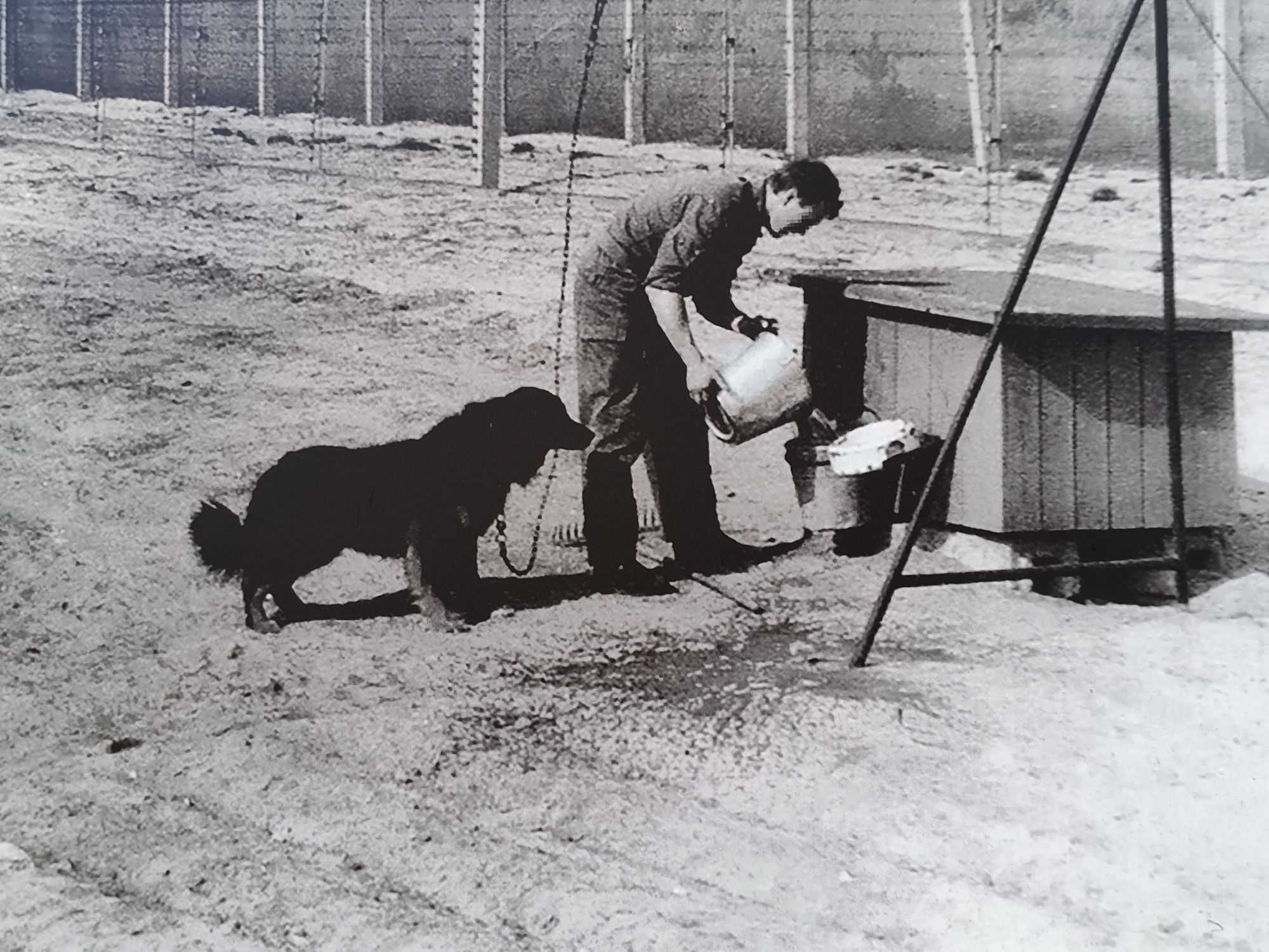 Grenzsoldat versorgt einen sogenannten Grenzhund, der die Grenze an einer Laufleine bewacht. Dahinter ist der Grenzzaun der DDR. Der Untergrund ist Sand.