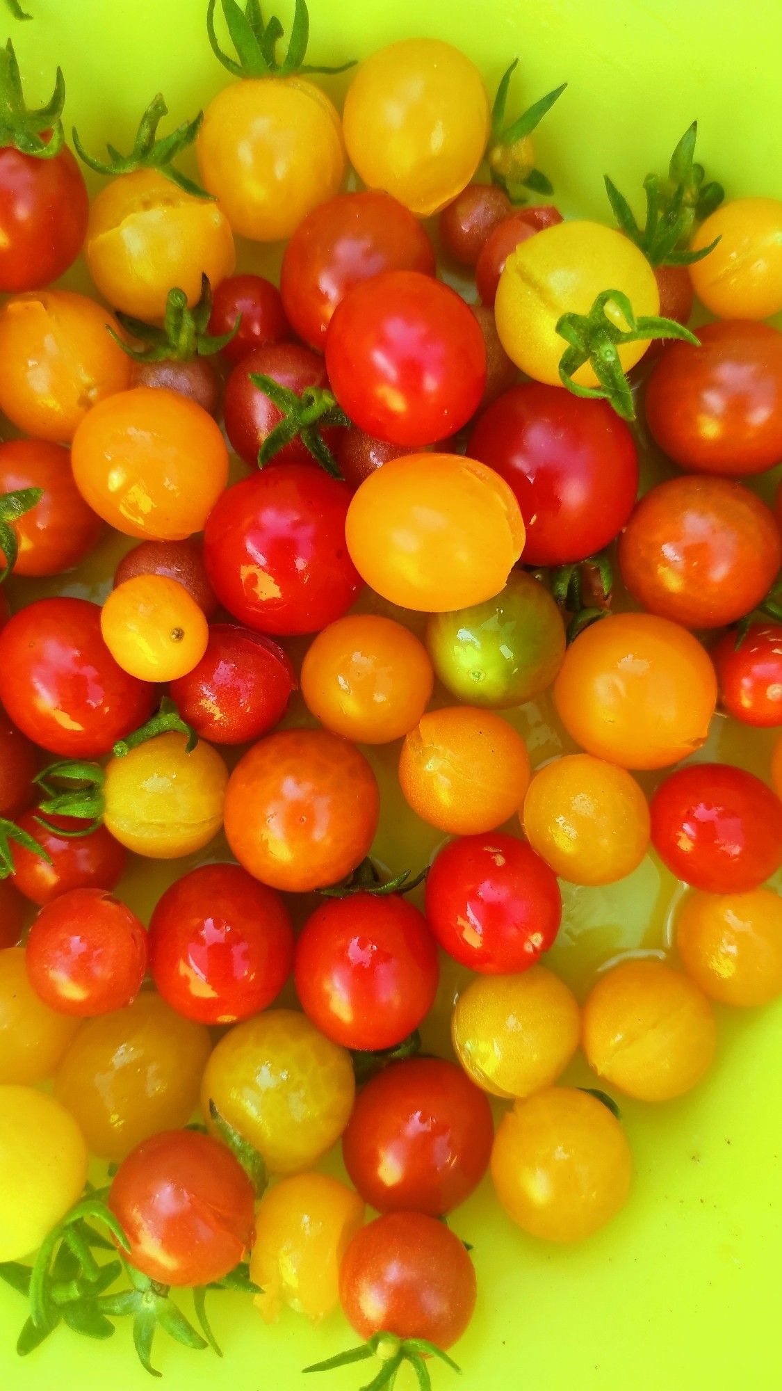 Eine Schüssel mit gelben, orangefarbenen und roten Tomaten