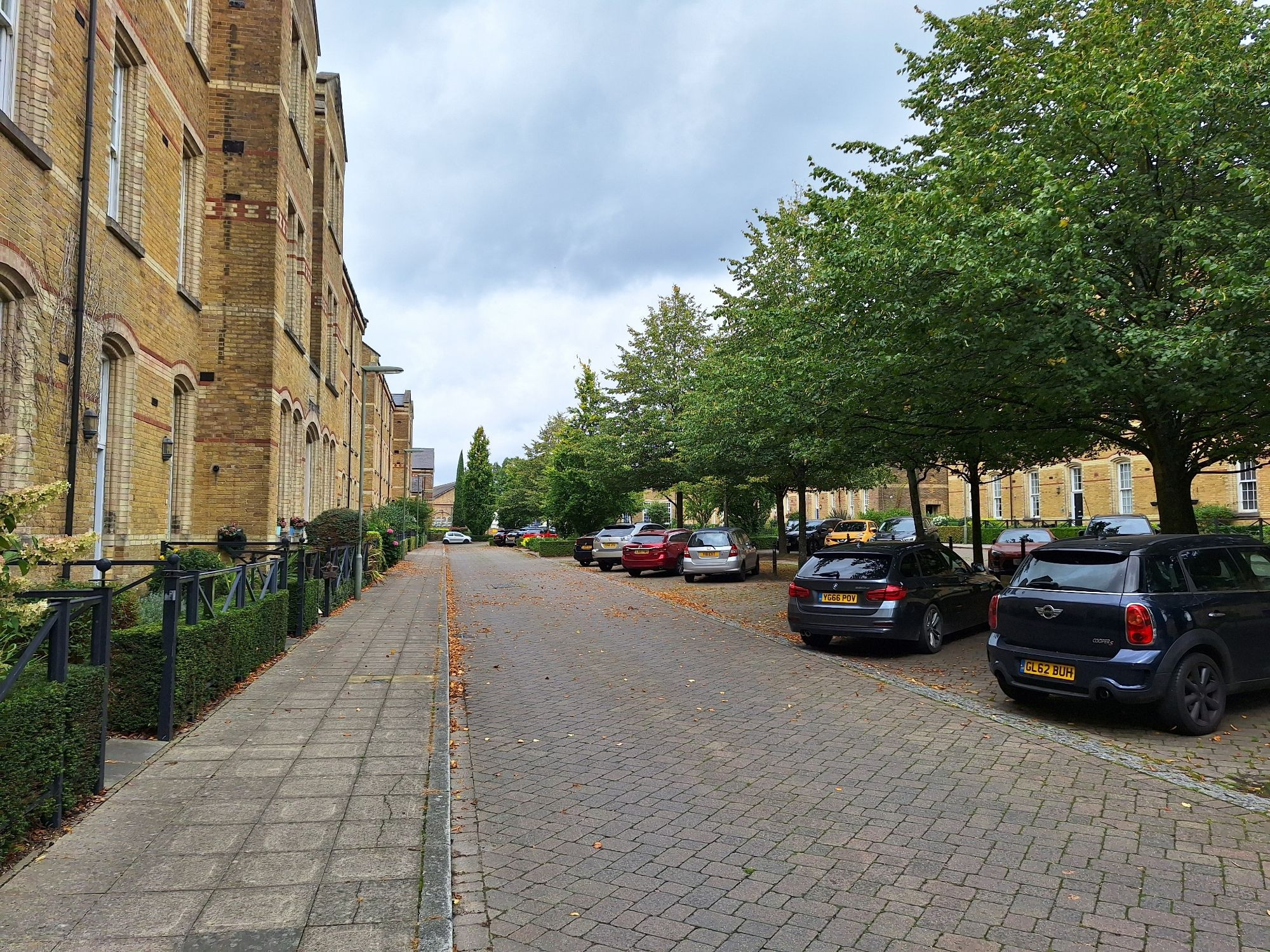 Long narrow square lined by 3 storey yellow brick terraces and avenue of trees down centre with parking angled in to line the green corridor in the centre