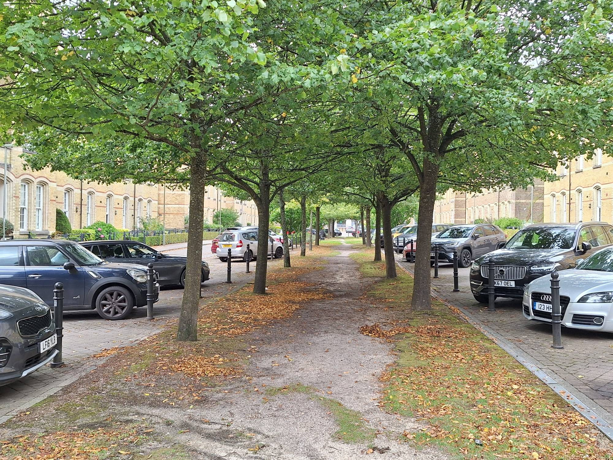 Photo along avenue of trees down centre of narrow square with parking angled in to line the green corridor in the centre