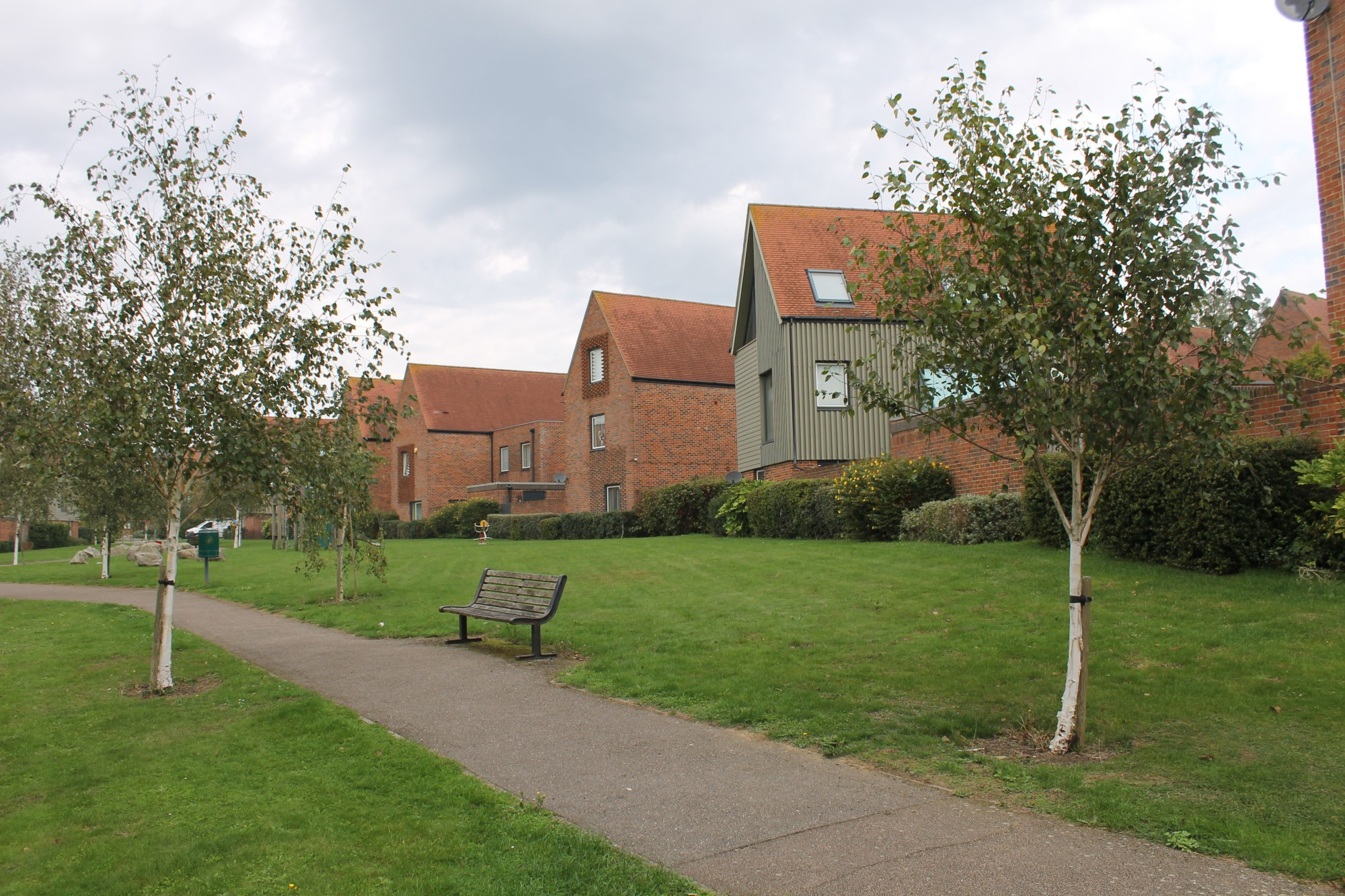 green space and play area with silver birch trees and houses backing on and overlooking