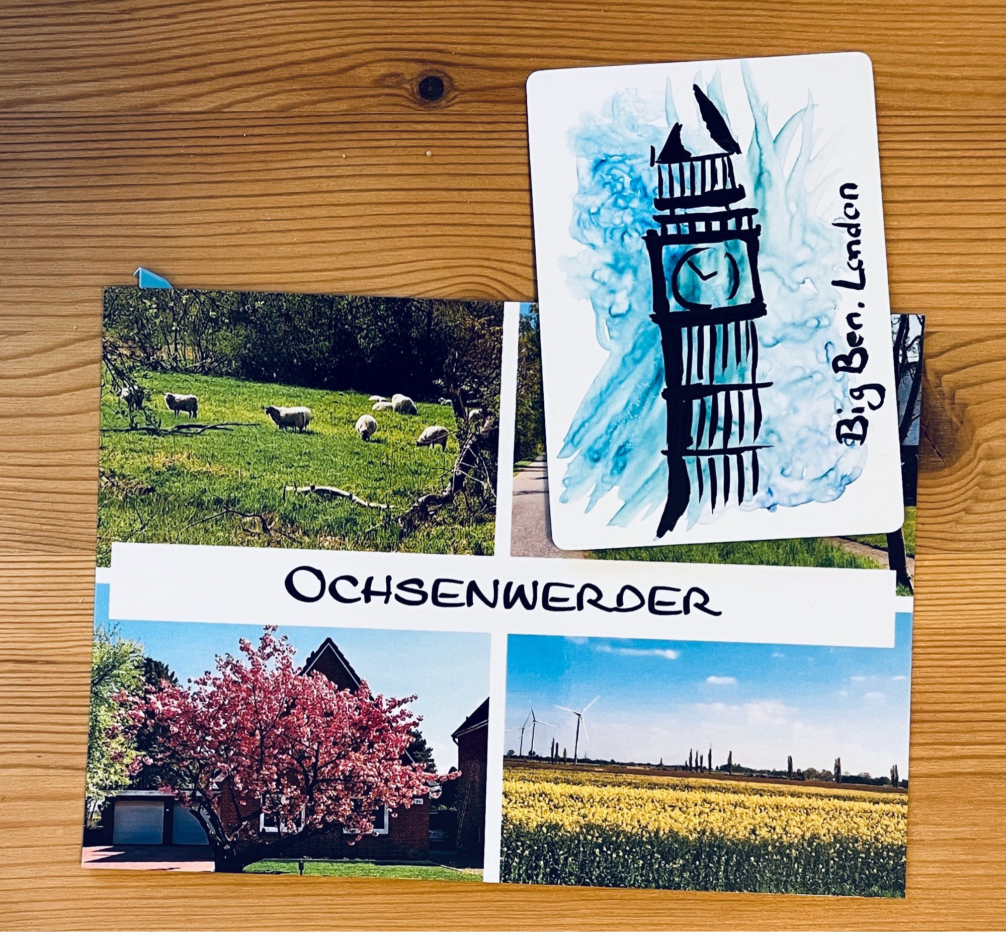 Postkarte Querformat Schafe, rosa blühender Baum, gelbes Rapsfeld und mit dem Schriftzug Ochsenwerder. Oben rechts liegt auf der Postkarte eine ATC Hochformat mit einer Zeichnung vom Big Ben auf blauem Hintergrund. Rechts auf der ATC steht von unten nach oben Big Ben London.