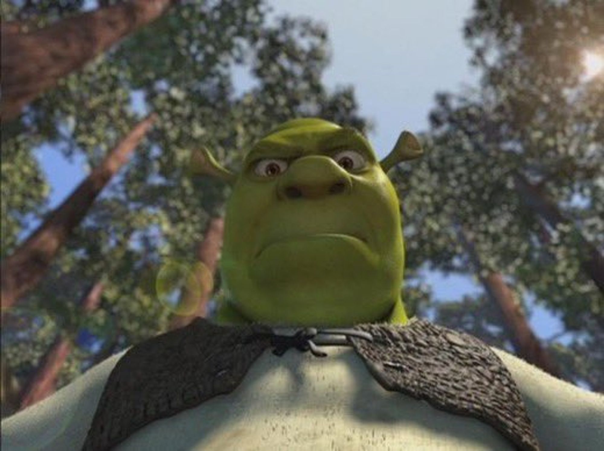 Shrek angrily looking down at you.