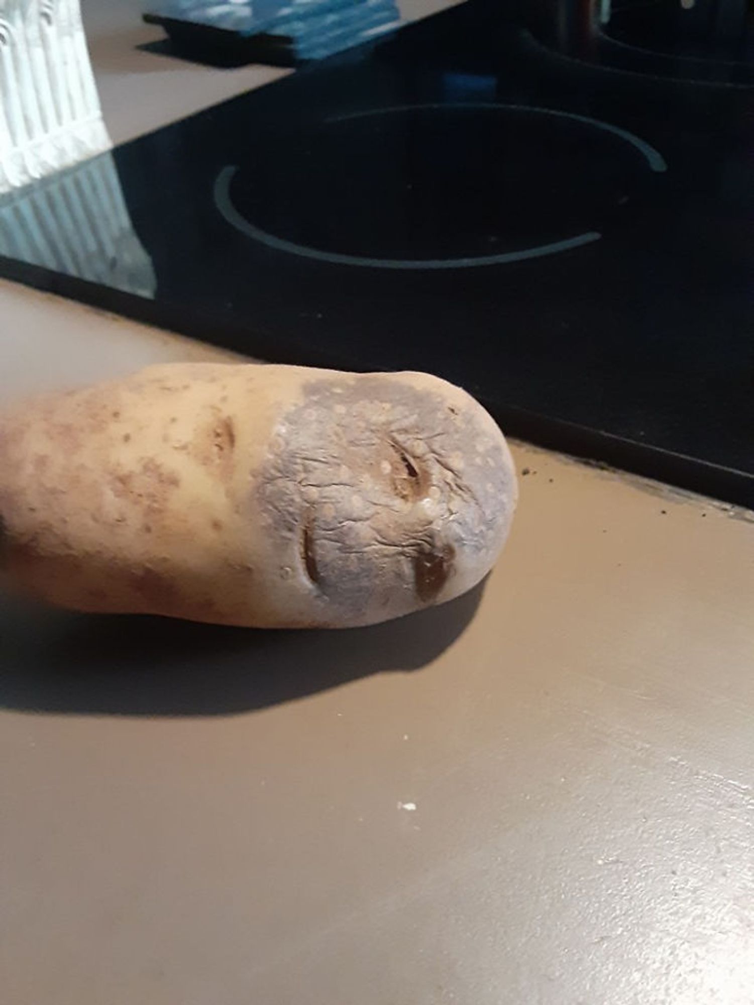 A potato that appears to have a shriveled up face resembling an old human.