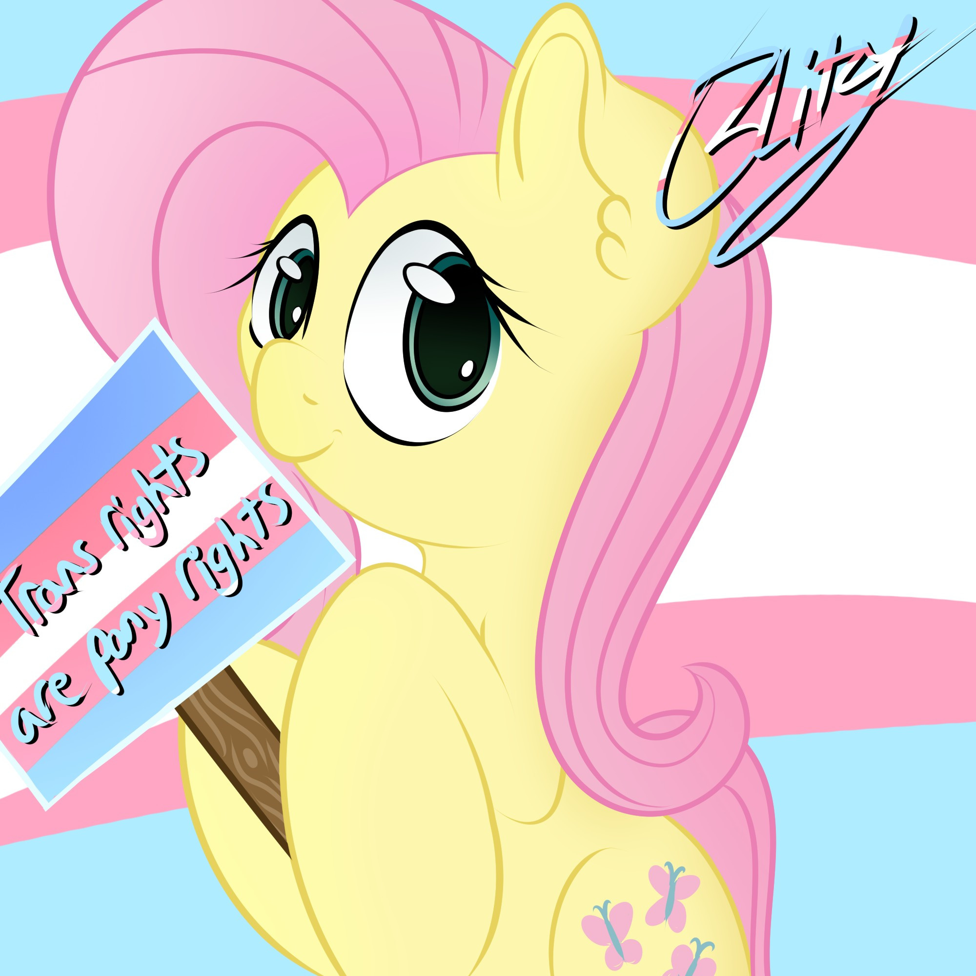 Fluttershy holding a "Trans rights are pony rights" sign.