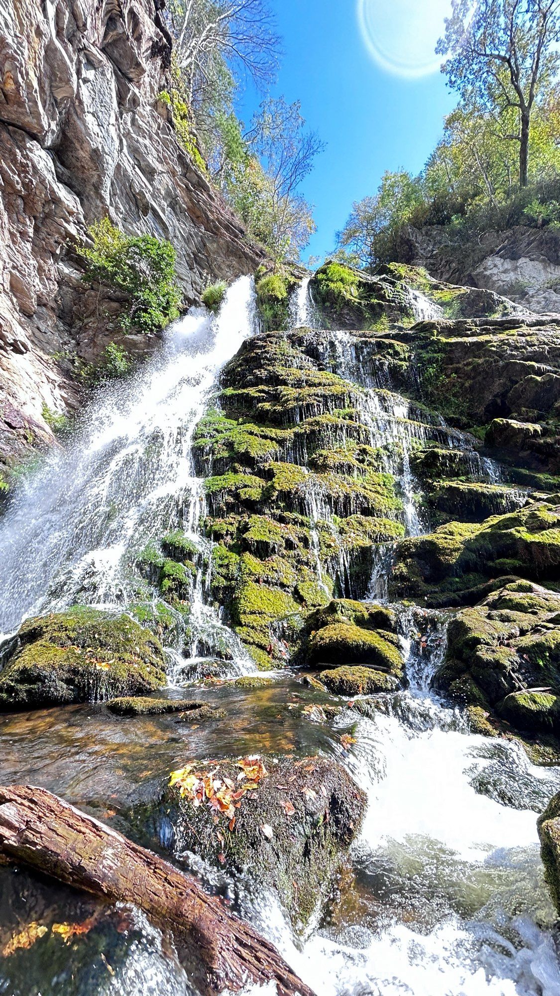 A medium frame vertical perspective image of a rocky waterfall. The water splits at the top of a staircase type descent. One stream is frothy and the other stream is fractured over mossy rocks. The pool at the bottom has churned rivulets covering ochre and earth-toned river bed stones.