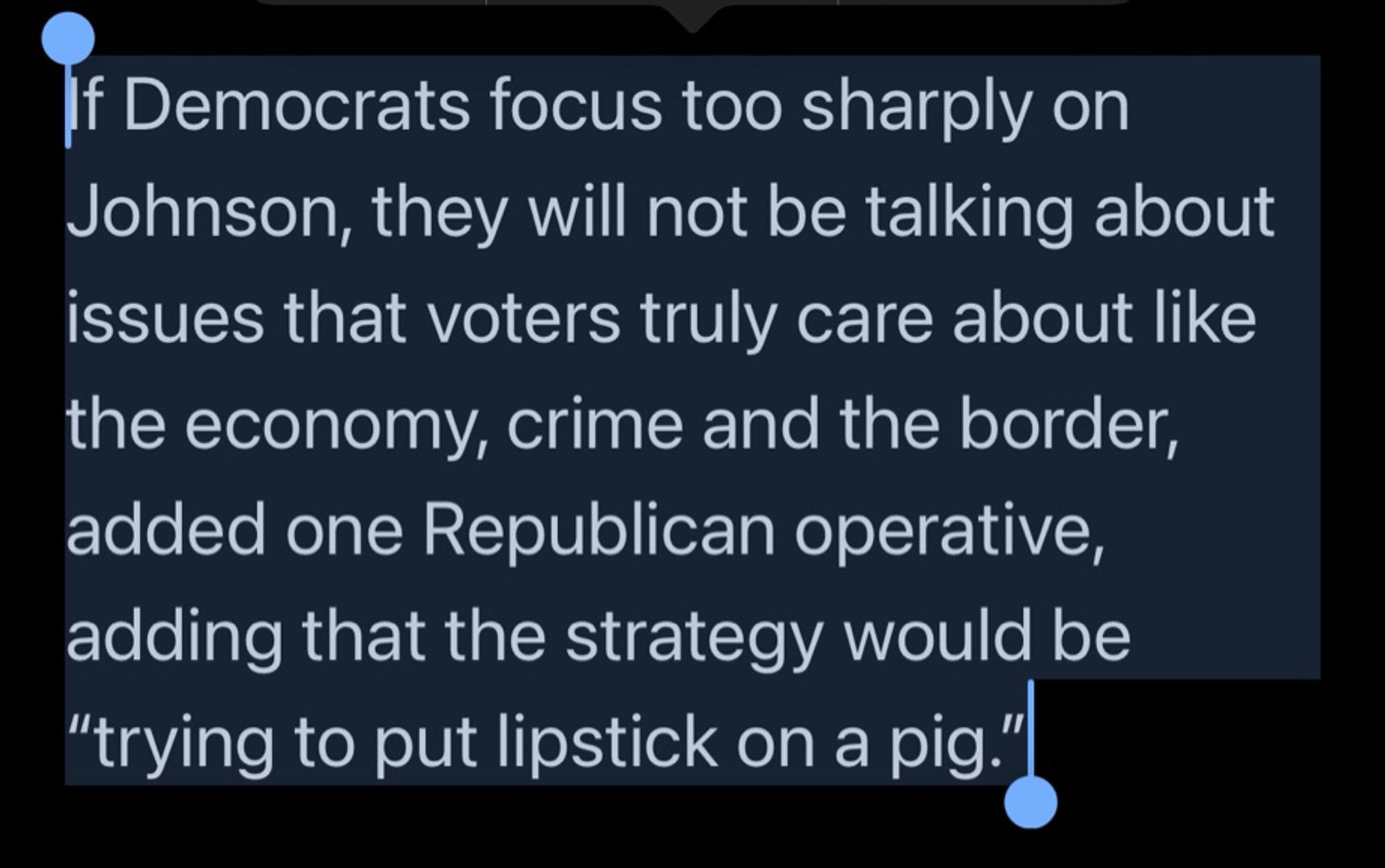 If Democrats focus too sharply on Johnson, they will not be talking about issues that voters truly care about like the economy, crime and the border, added one Republican operative, adding that the strategy would be “trying to put lipstick on a pig.”