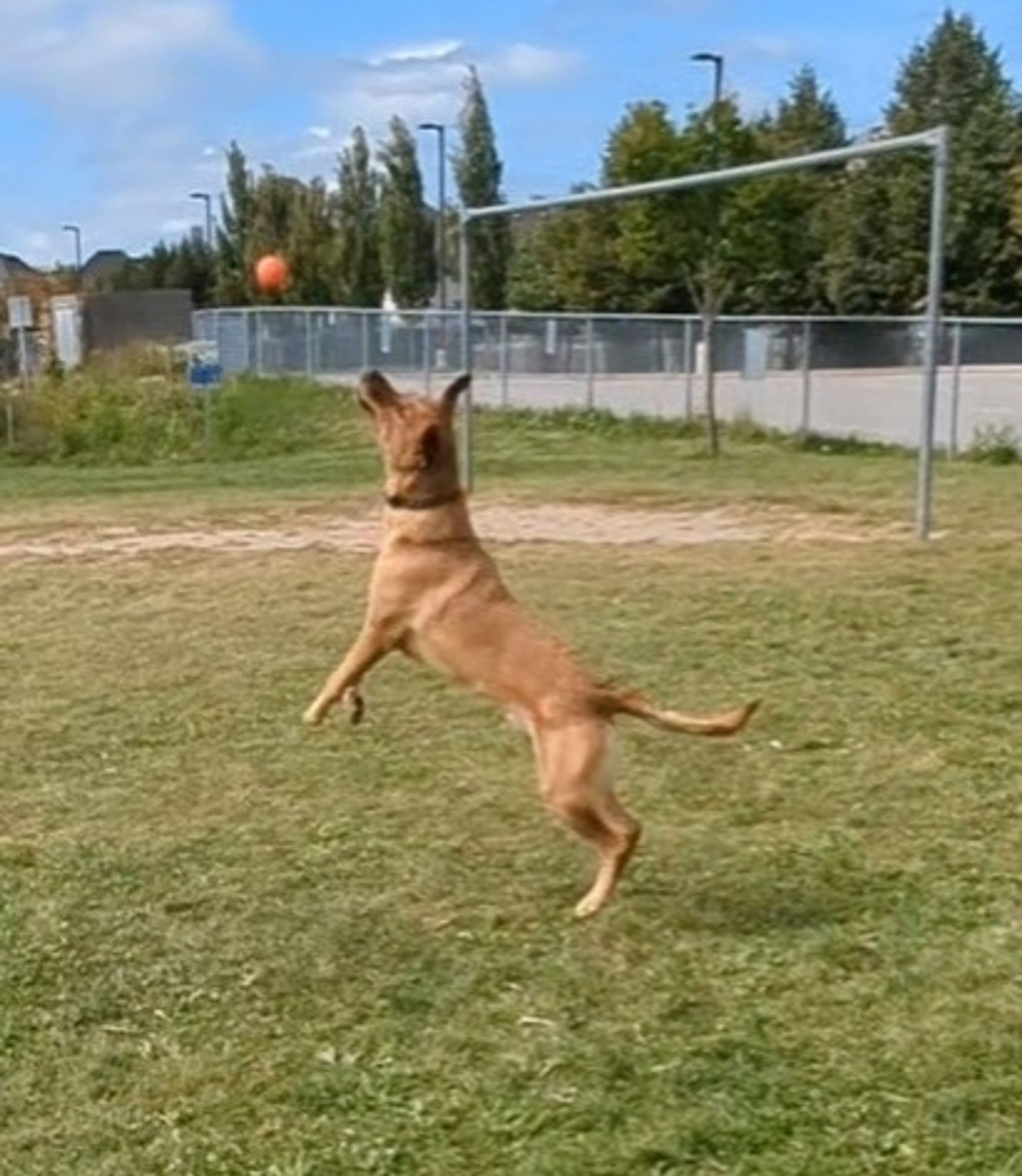 Atlas mid jump for his ball