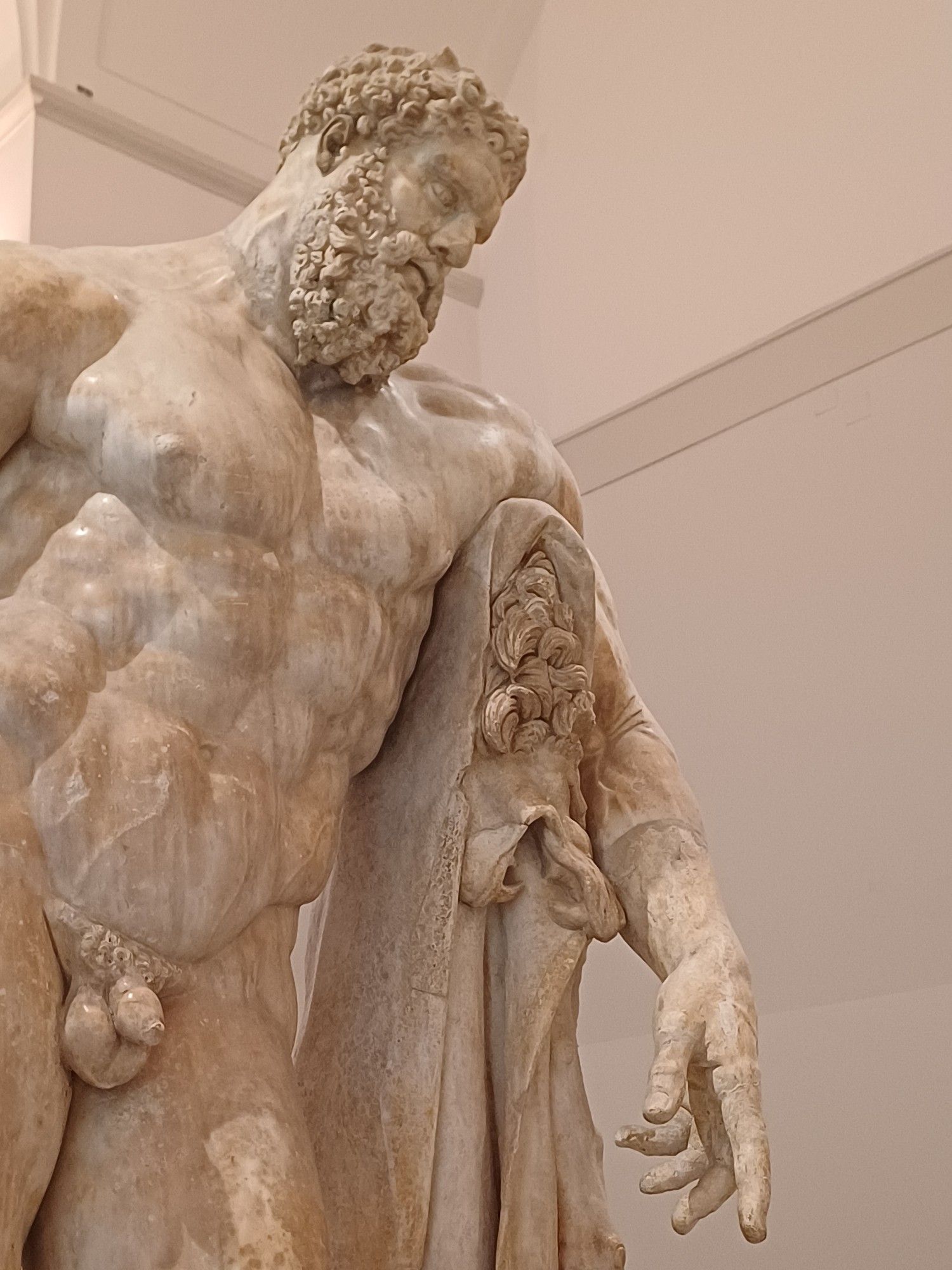 "Ercole Farnese", plano más cercano que en la foto anterior, resaltando la poderosa musculatura del torso y detalle con la piel del León de Nemea, sobre la maza en la que Hercules descansa el brazo tras completar sus míticos Doce Trabajos.
Esconde a la espalda las manzanas de oro del jardín de las Hespérides (no se ven en la foto, están escondidas!)
Para ser el epítome de la virilidad griega aquí le vemos en completo reposo, muy púdica esta escultura