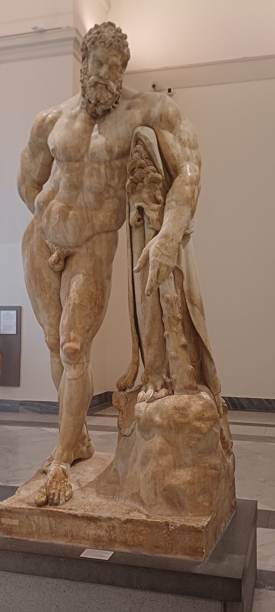 Escultura en mármol blanco "Ercole Farnese". Encontrada en las Termas de Caracalla en Roma, obra del escultor ateniense Glykon (s. III dc) y copia del bronce perdido de Lisipo
Expuesta en el Museo Archeologico Nazionale di Napoli (MANN), forma parte de la magnífica Colección Farnesio (Cardenal, de familia bien del s. XVI)
Los 3,17 metros de compacta roca metamórfica entrecana y musculada corpulencia impresionan hasta en pose reposada; el mayor héroe dorio en esplendor!
La estatua fue reconstruida a lo largo de los años, un frankenstein sin mácula