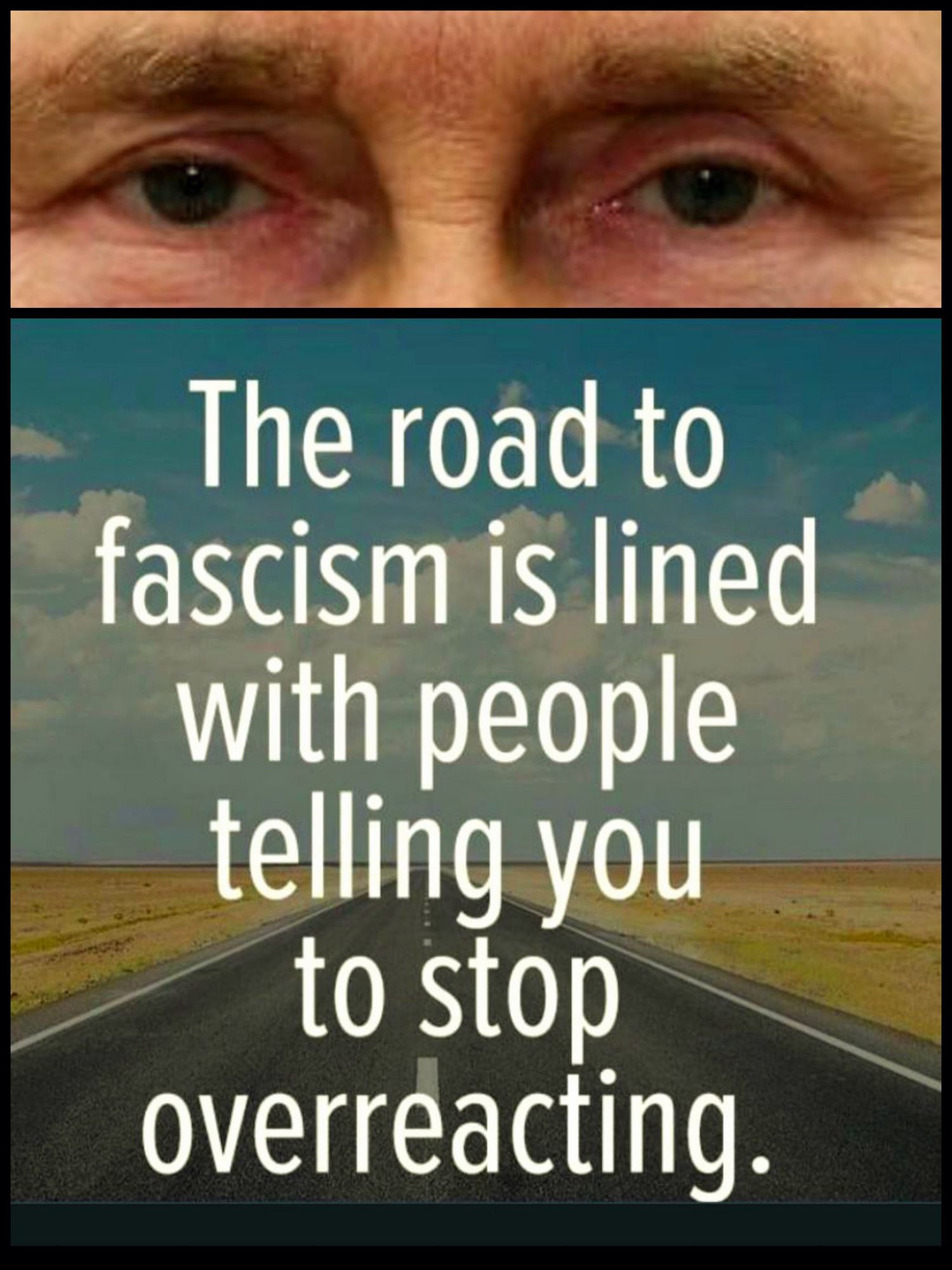 "The road to fascism is lined with people telling you to stop overreacting."