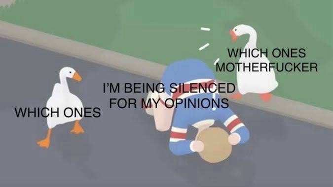 A boy hunched over on the road crying, “I’m being silenced for my opinions!” while two geese mercilessly honk back, “Which ones? Which ones, motherfucker‽”