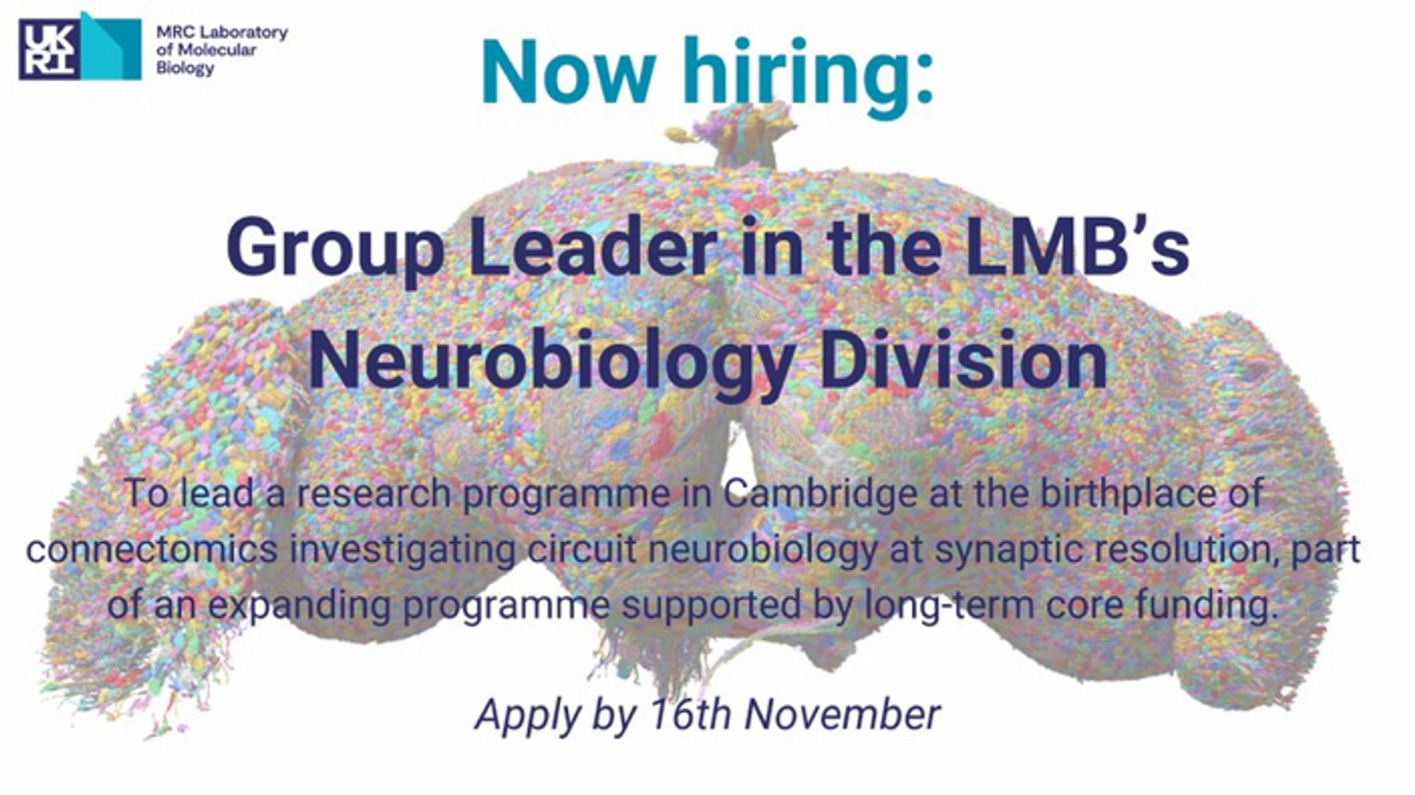 3D rendering by Philipp Schlegel of 130,000 neurons comprising the full adult brain connectome of Drosophila, completed this year in an international collaboration between Princeton, Cambridge and the global flywire.ai community.

Text reads: Now hiring Group Leader in the LMB's Neurobiology Division.
To lead a research programme in Cambridge at the birthplace of connectomics investigating circuit neurobiology at the synaptic resolution, part of expanding programme supported by long-term core funding.
Apply by 16th November