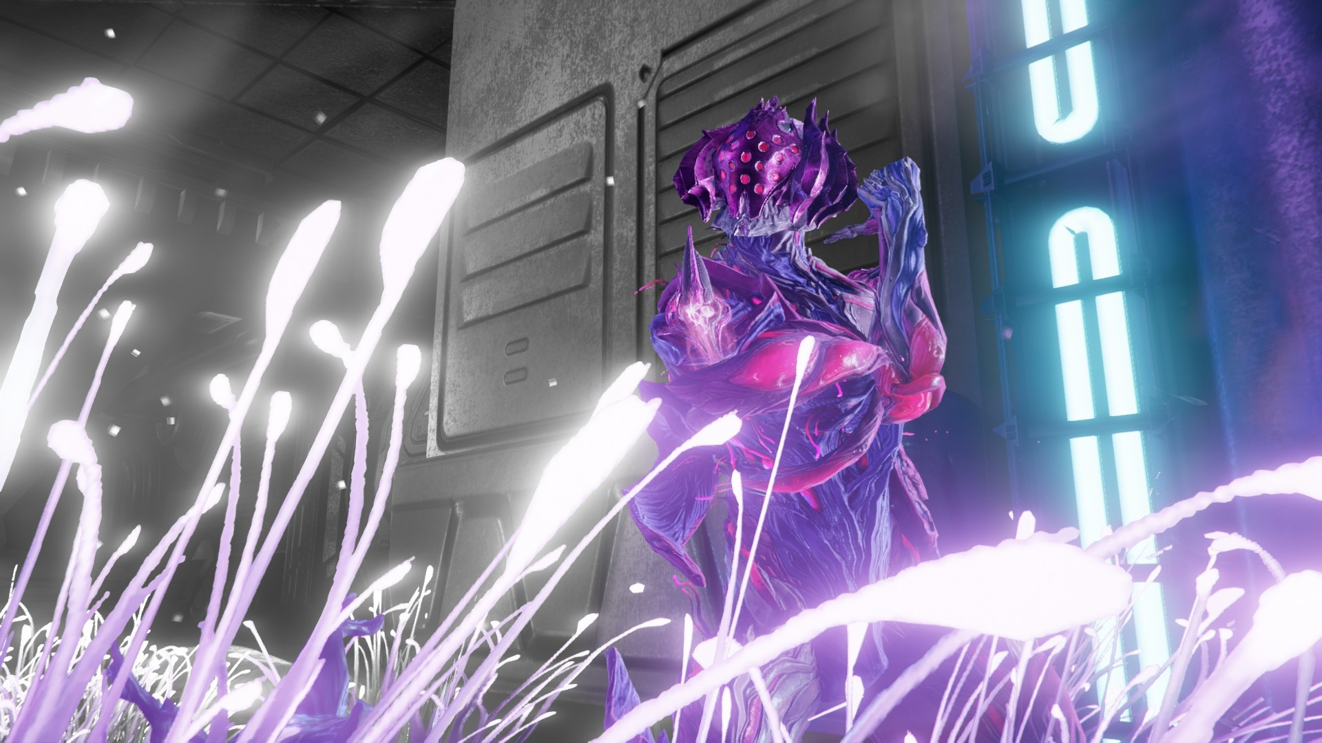 Nidus (Onlyne's biggest fan) under a neon glow in Fortuna.

