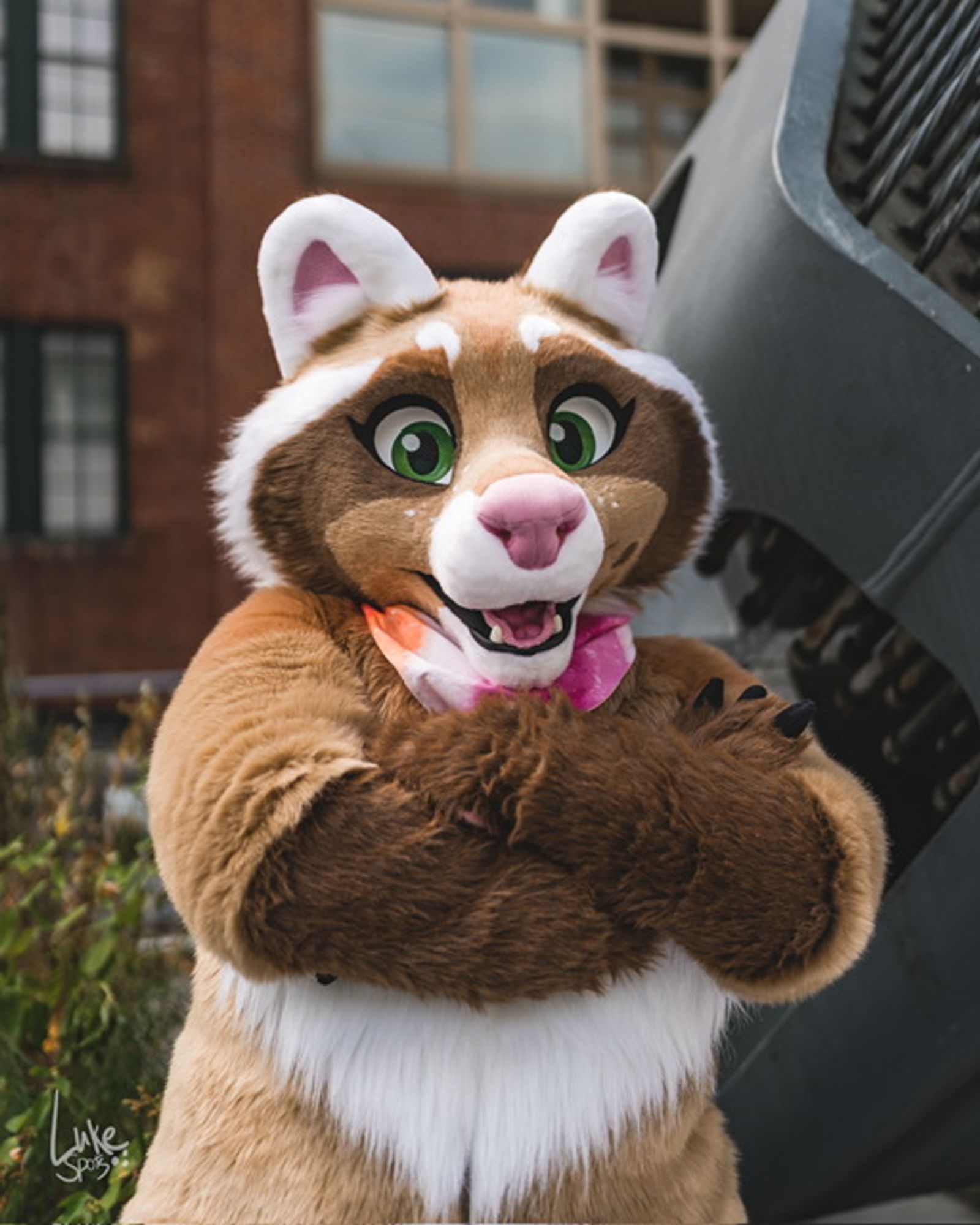 A cinnamon raccoon fursuiter poses with her arms crossed.