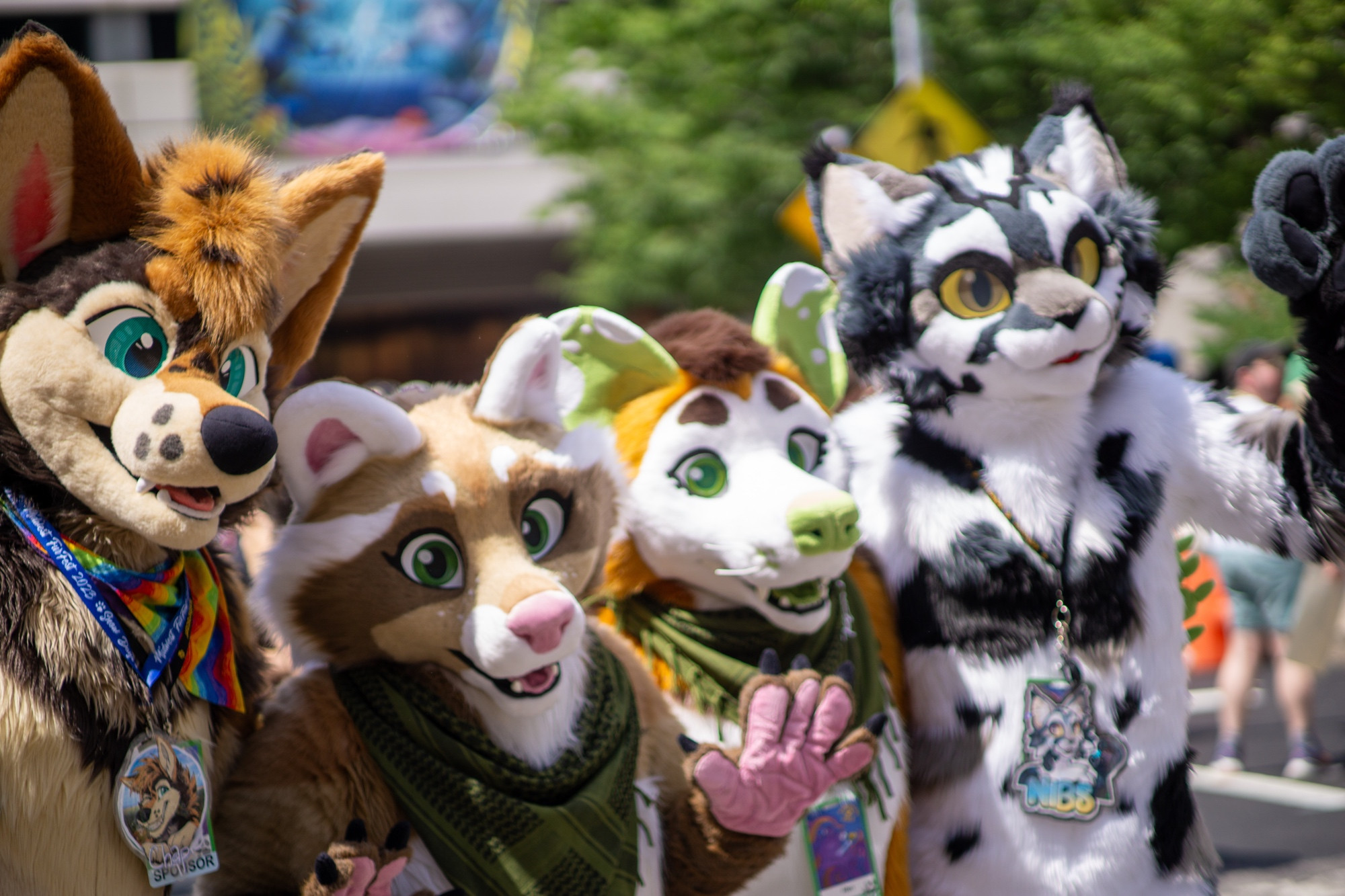 Photo of a group of fursuiters- coyote, cinnamon raccoon, opossum, and cat