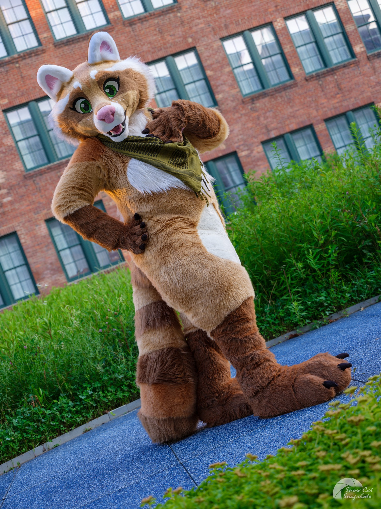 Photo of a cinnamon raccoon fursuiter posing in front of tall green grass and a brick building 