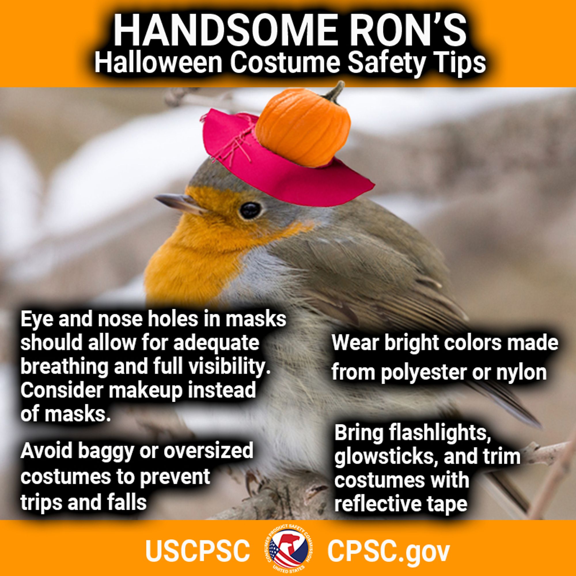 A picture of a European Robin wearing a pink sun hat that has been turned into a pumpkin. It is Handsome Ron! The text reads: Handsome Ron's Halloween Costume Safety Tips. Eye and nose holes in masks should allow for adequate breathing and full visibility. Consider makeup instead of masks. Wear bright colors made from polyester or nylon. Avoid baggy or oversized costumes to prevent trips and falls. bring flashlights, glowsticks, and trim costumes with reflective tape.