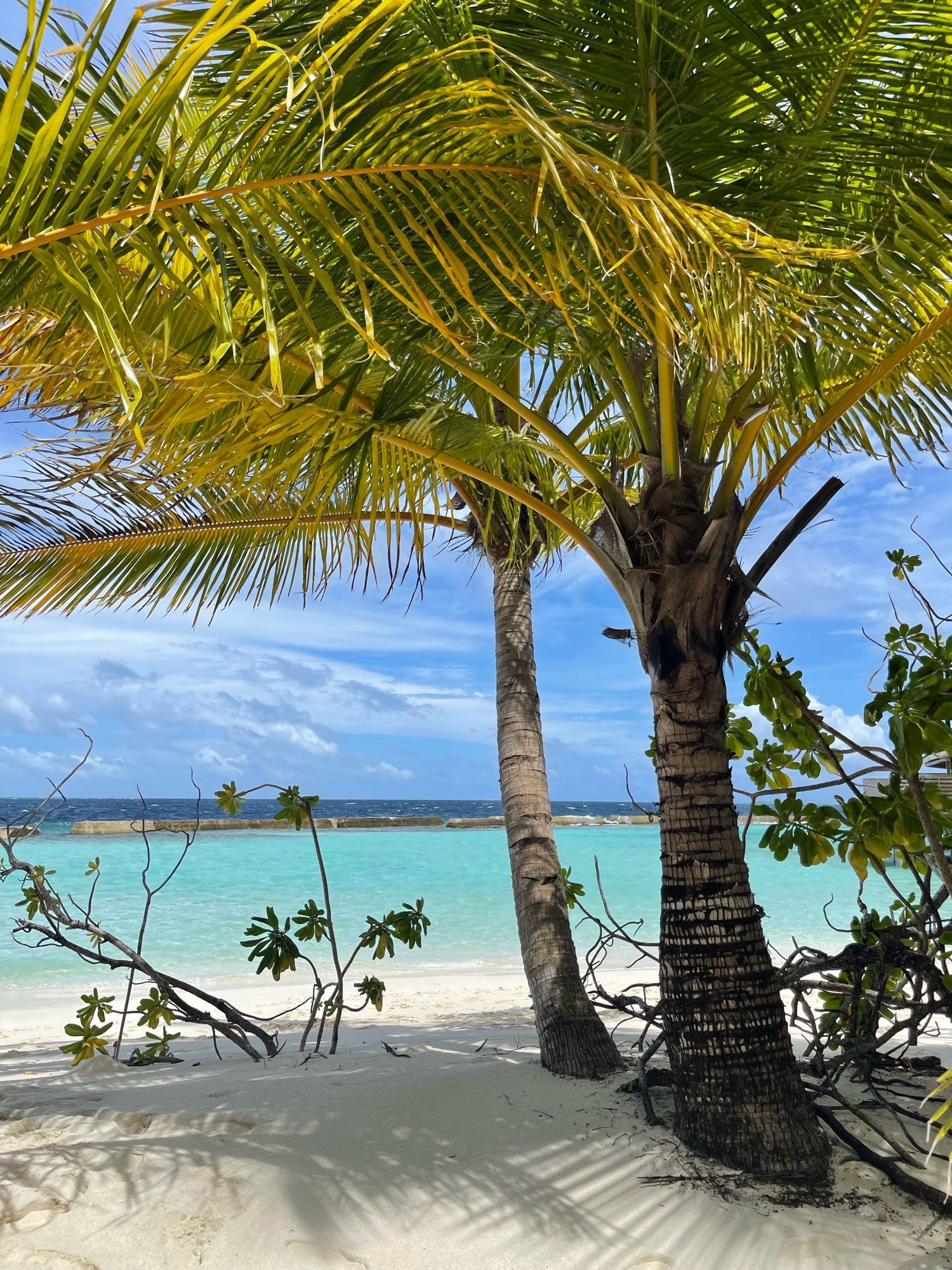 Island Maledives - La ISLA Bonita / 3