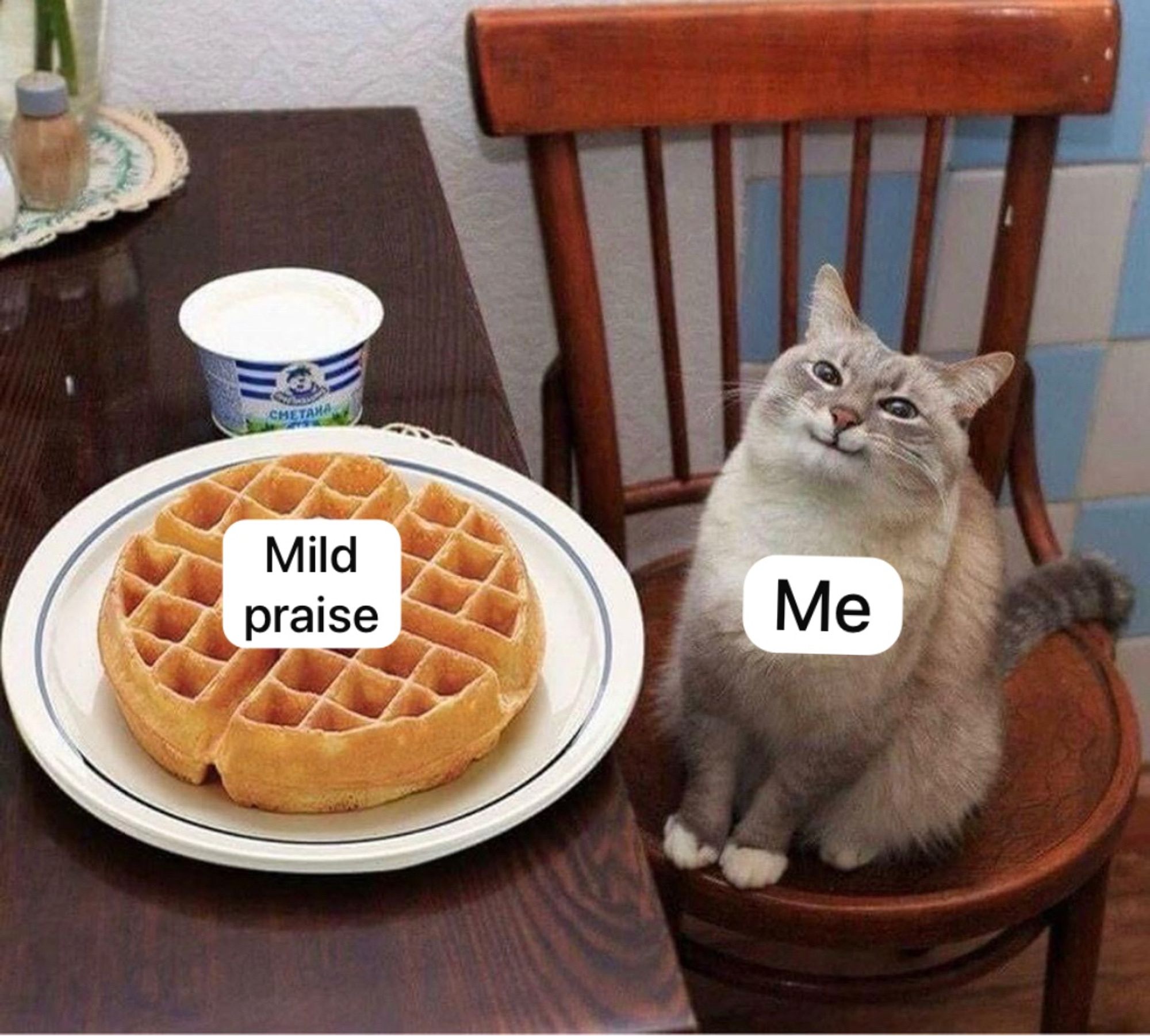 Picture of a cat looking very happy and pleased with itself next to a waffle. The cat is labelled “me” and the waffle is labelled “mild praise”