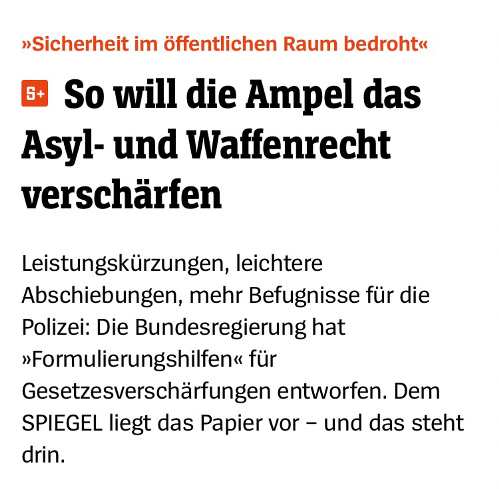 »Sicherheit im öffentlichen Raum bedroht«
So will die Ampel das Asyl- und Waffenrecht verschärfen
Leistungskürzungen, leichtere Abschiebungen, mehr Befugnisse für die Polizei: Die Bundesregierung hat
»Formulierungshilfen« für
Gesetzesverschärfungen entworfen. Dem
SPIEGEL liegt das Papier vor - und das steht drin.