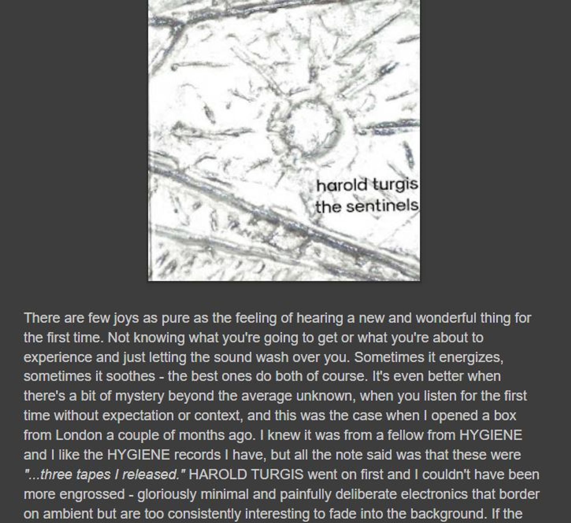 Screen grab from the Terminal Escape blog reviewing the Harold Turgis album The Sentinels