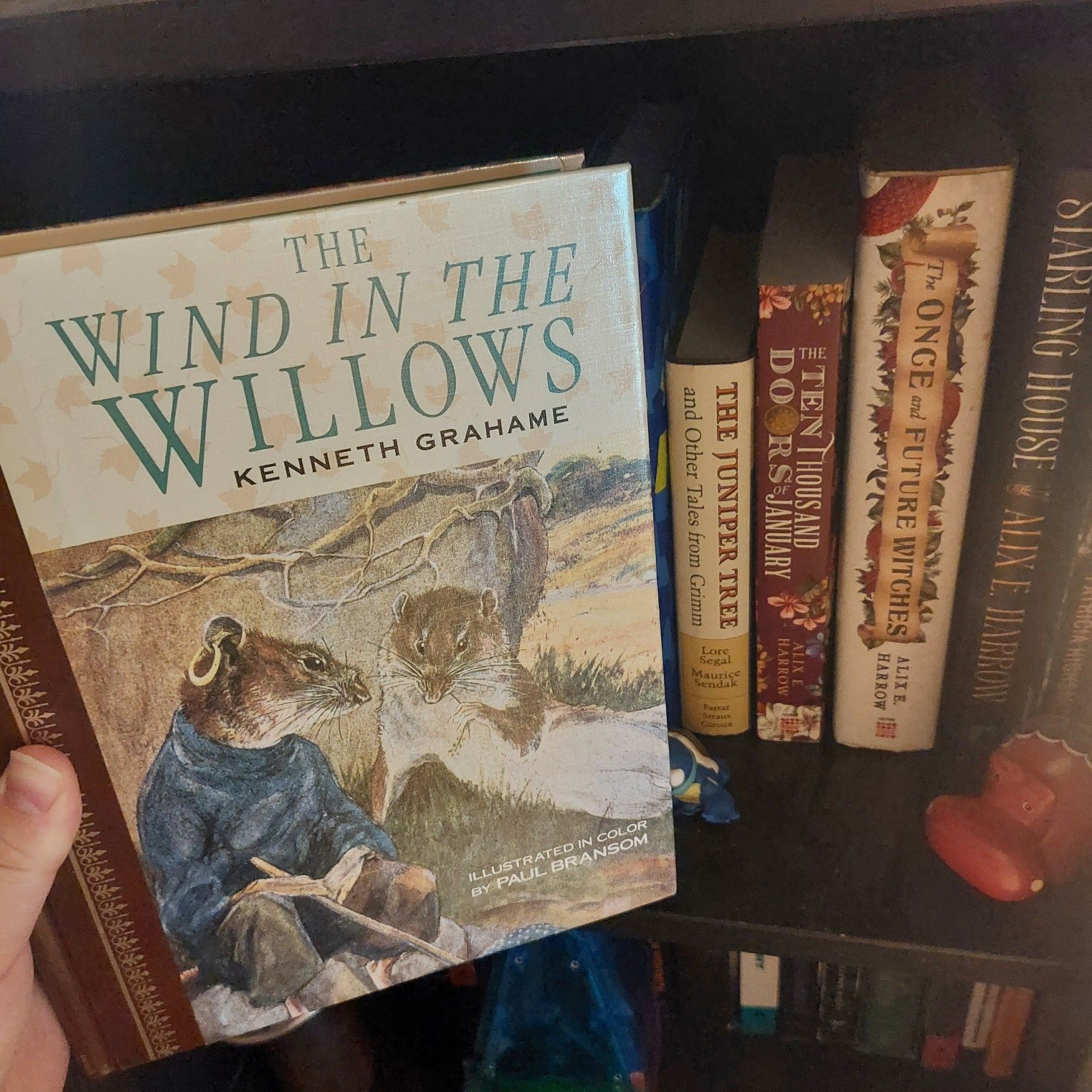 Photo of a hardcover edition of The Wind in the Willows by Kenneth Grahame, illustrated by Paul Bransom