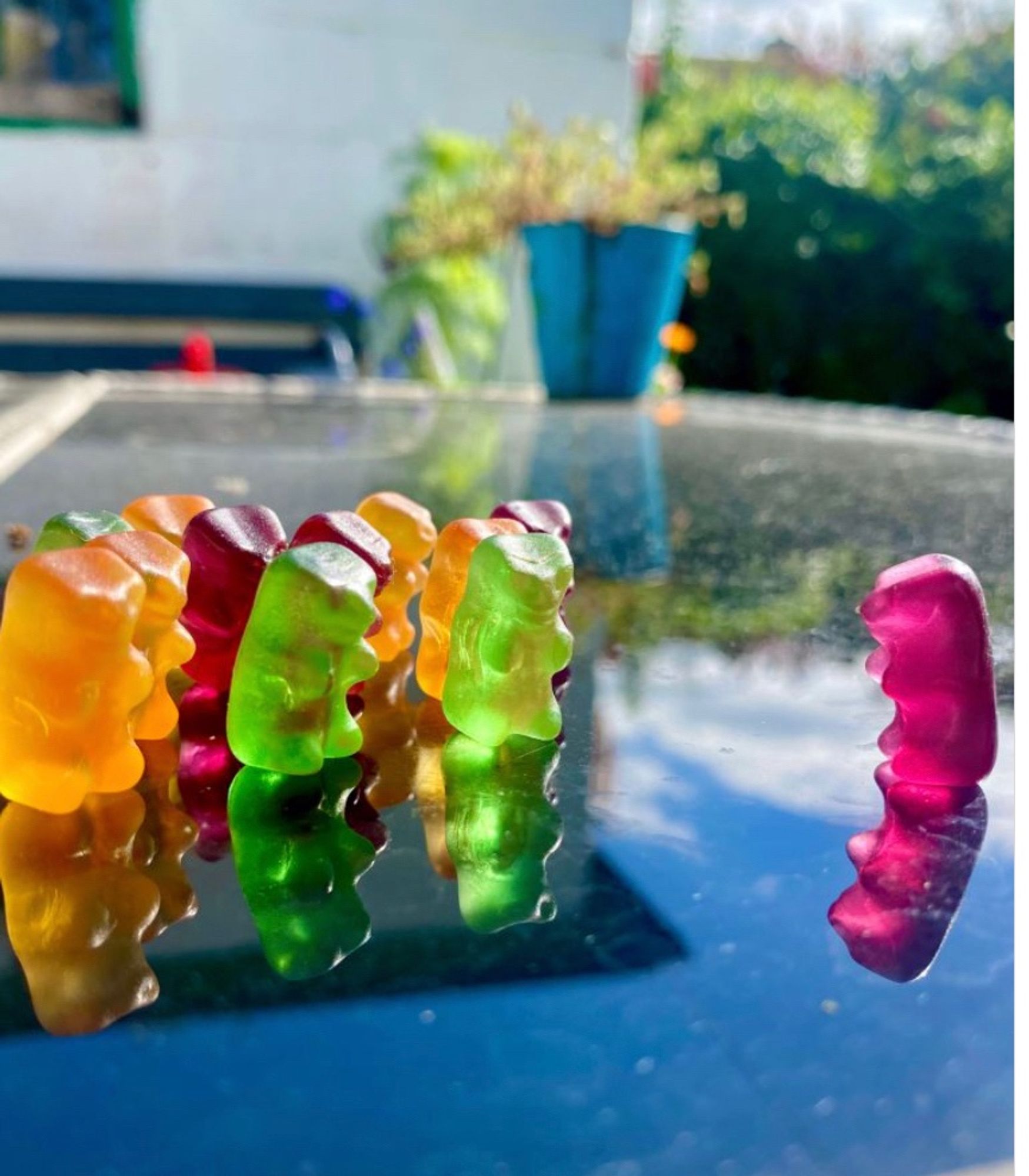 Outside on a tempered glass table stands 11 colourful gummy bears in a gang. They are bunched together and look angry. They are facing towards a lone gummy bear who represents Judas. He look's panicked. The sun is shining. mirbear