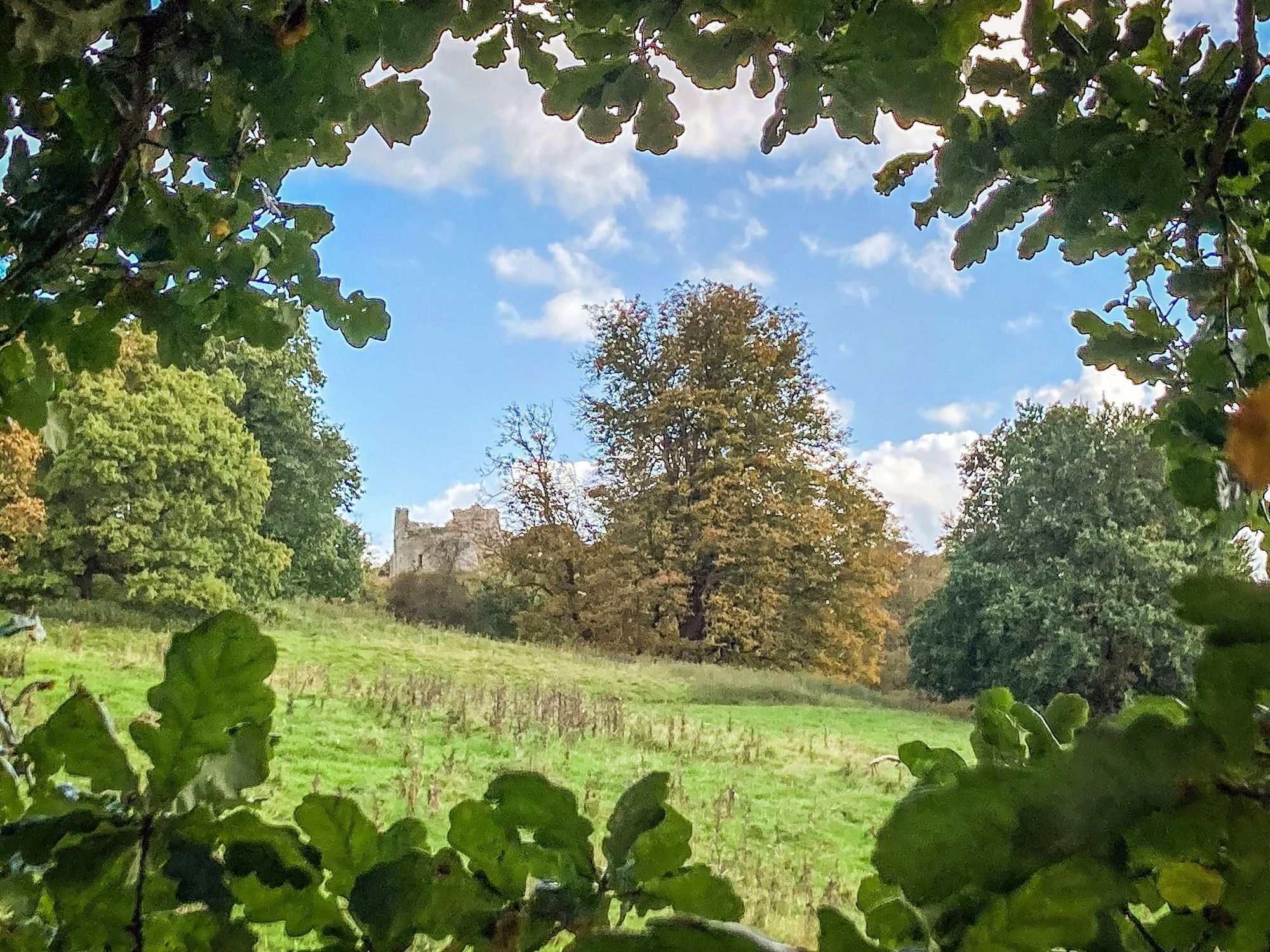 A view of a meadow. It's framed by oak leaves. The outline of a crumbling castle keep is visible in the background