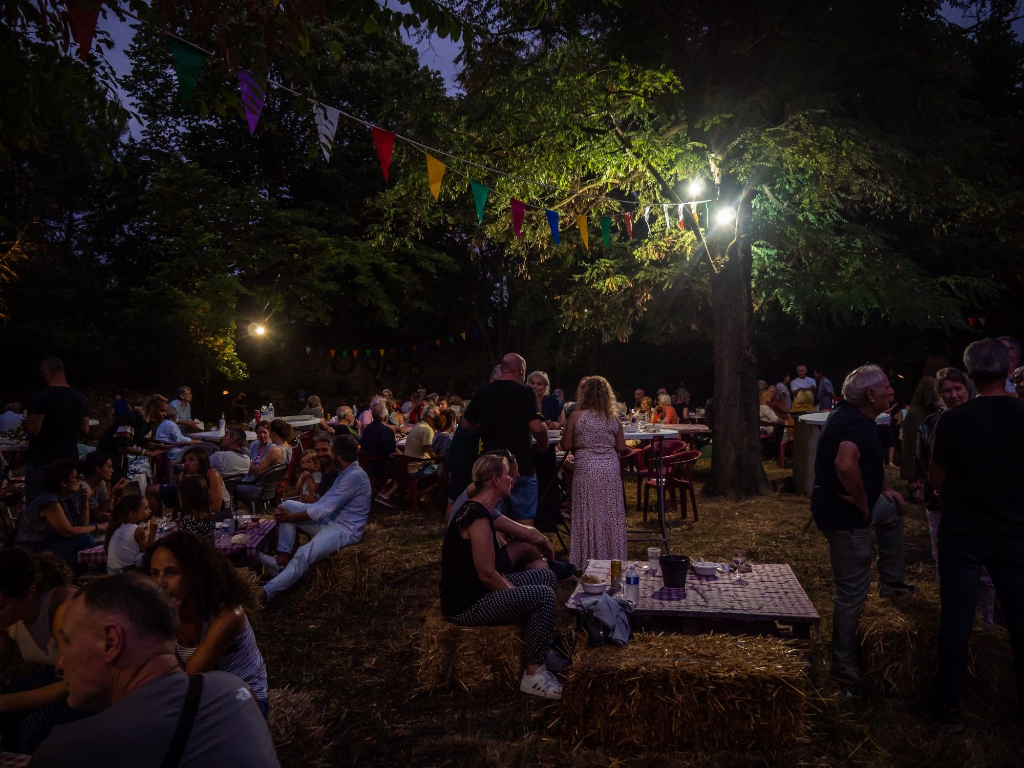 A party at dusk in a field