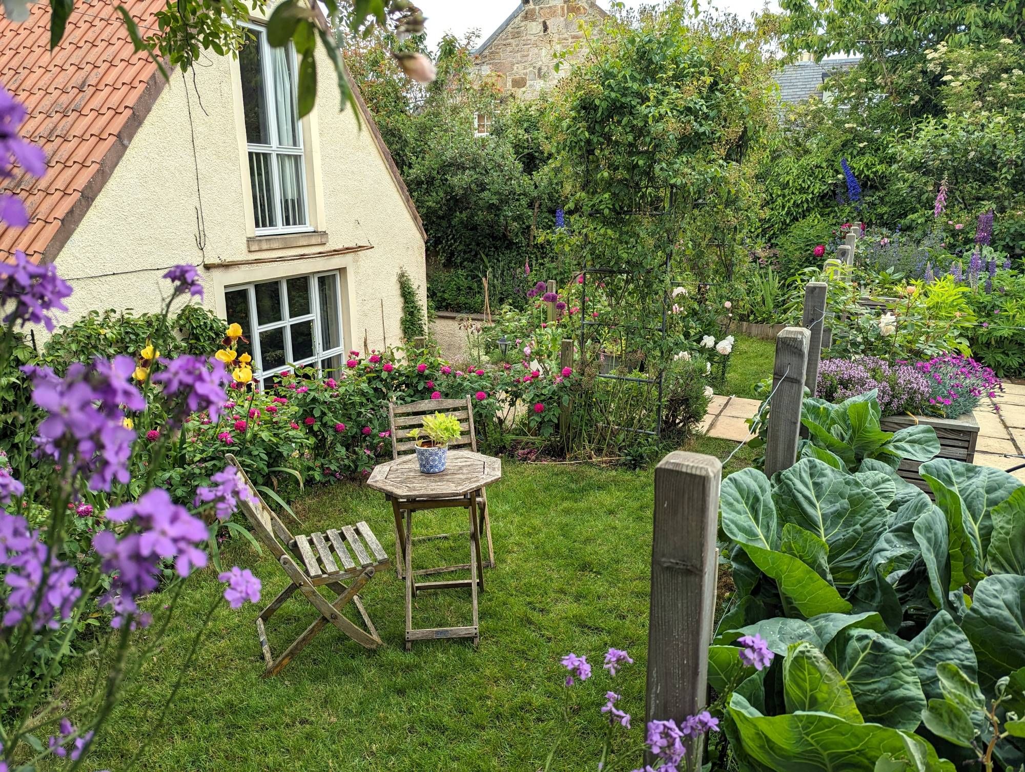 The table and two chairs in the garden filled with flowers and cabbages.