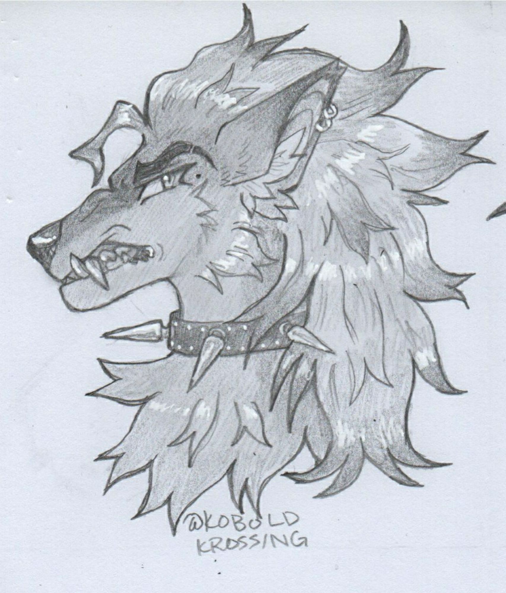 An angry wolf man baring his teeth. He is wearing a spiked collar and has two earrings. (Belongs to UhhNatasha)