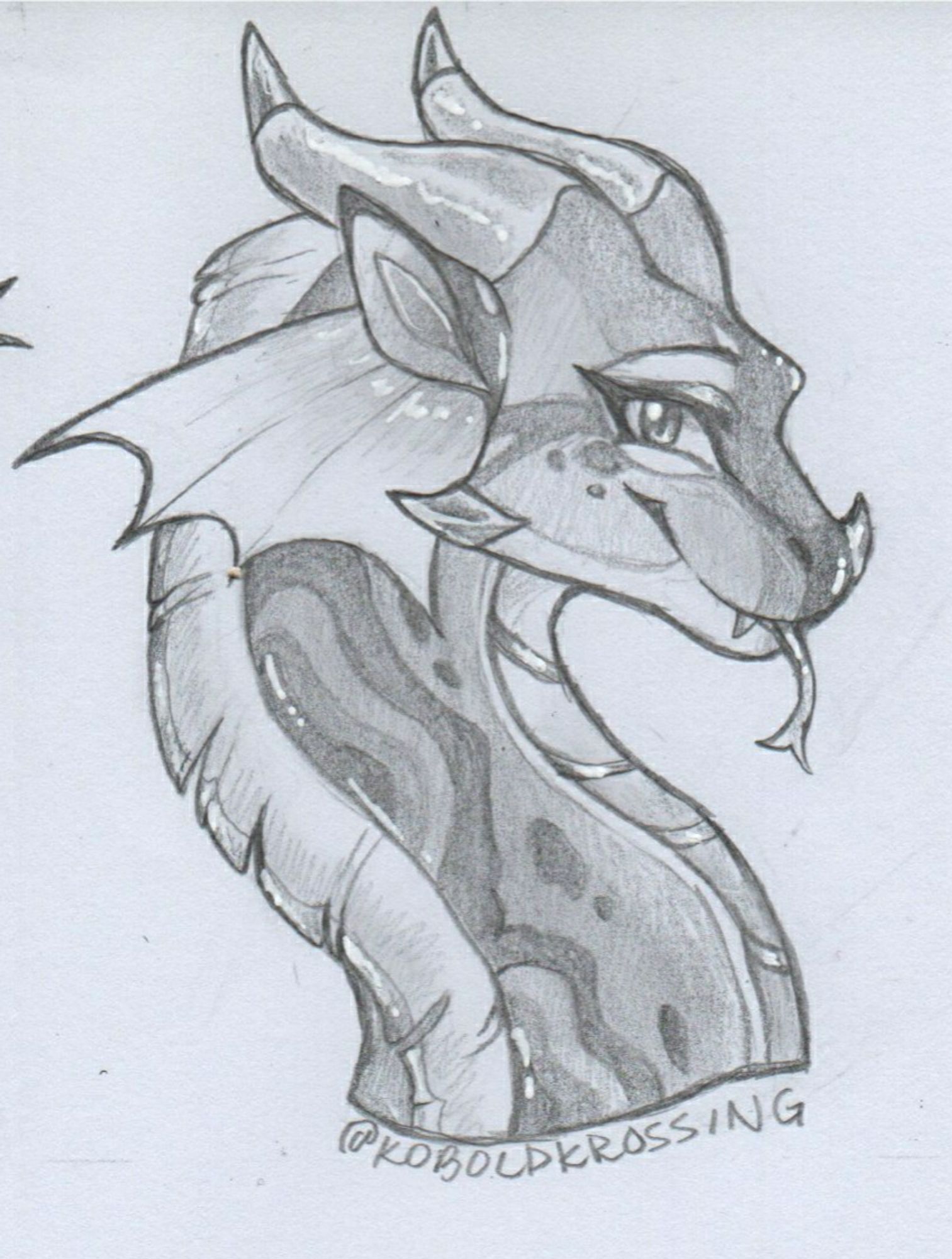 Bust of a dragon with ball python markings on her neck. (Belongs to heartspark)