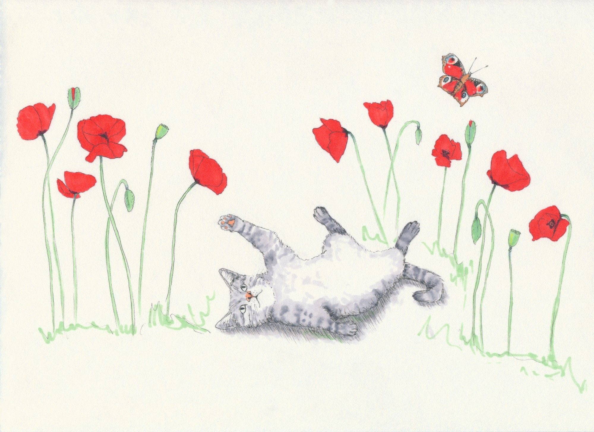 Marker drawing of a cat laying on its back between poppies playfully raising a forepaw towards one blossom while the red butterfly already moved on