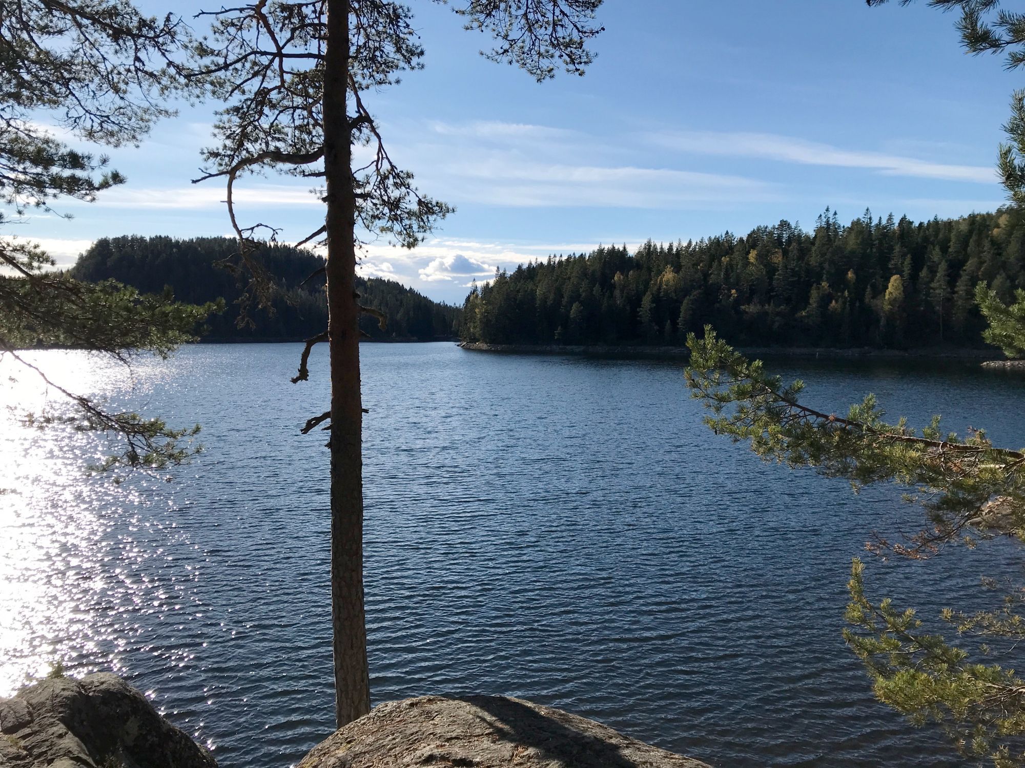 A lake in the sunshine with forested hills