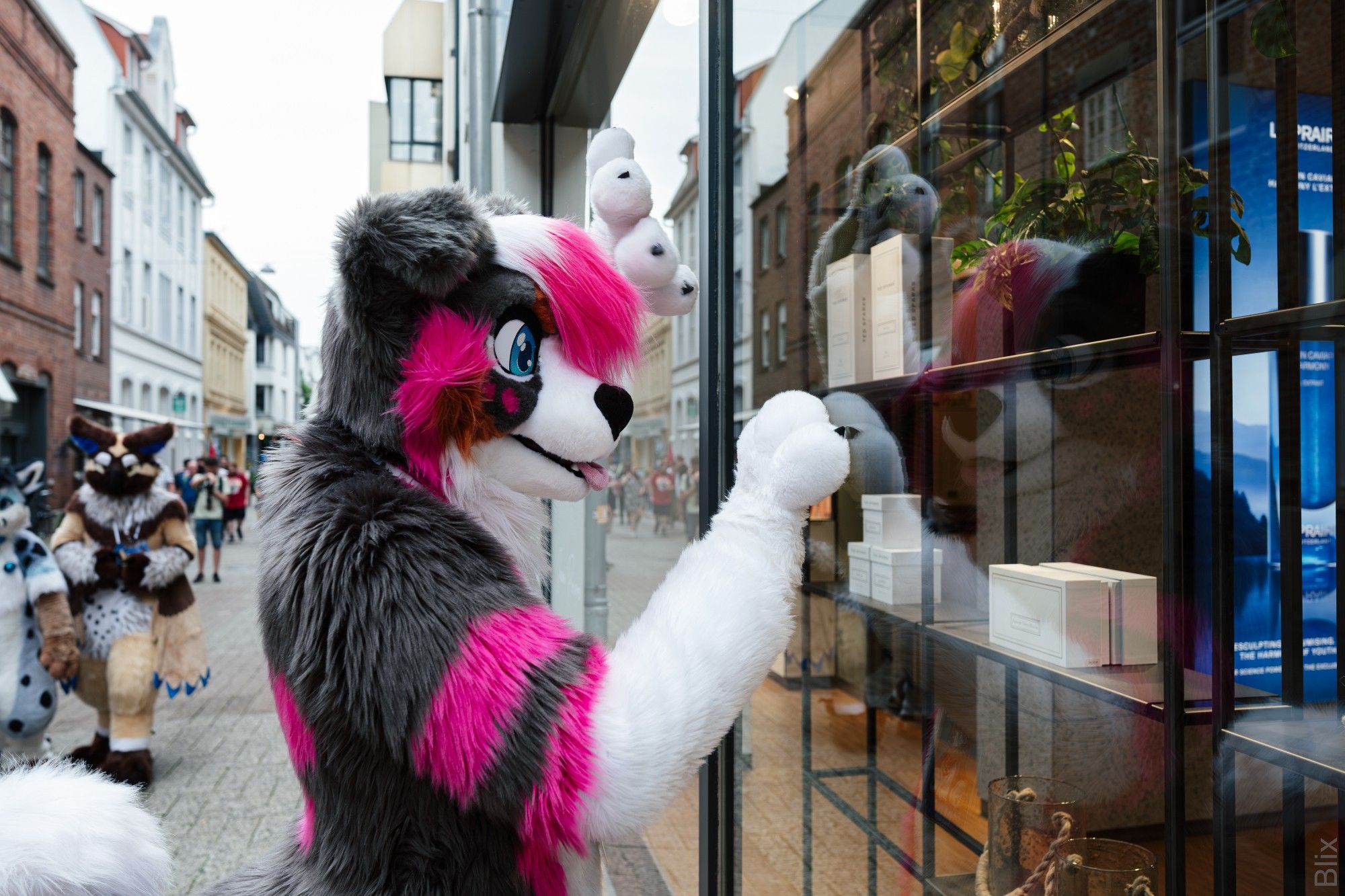 A gay dog stands in front of a store and greets a strange inside