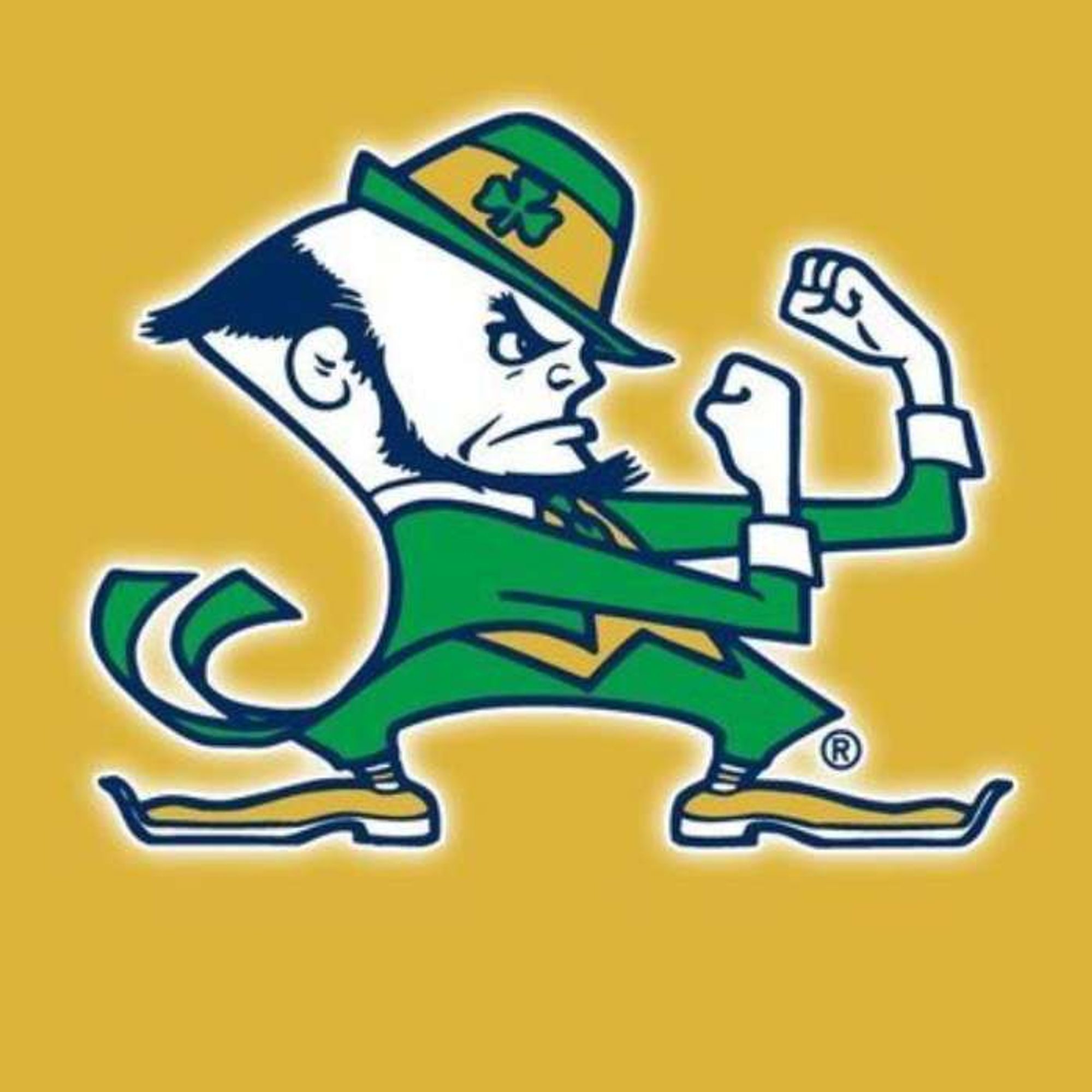 Notre Dame Fighting Irish